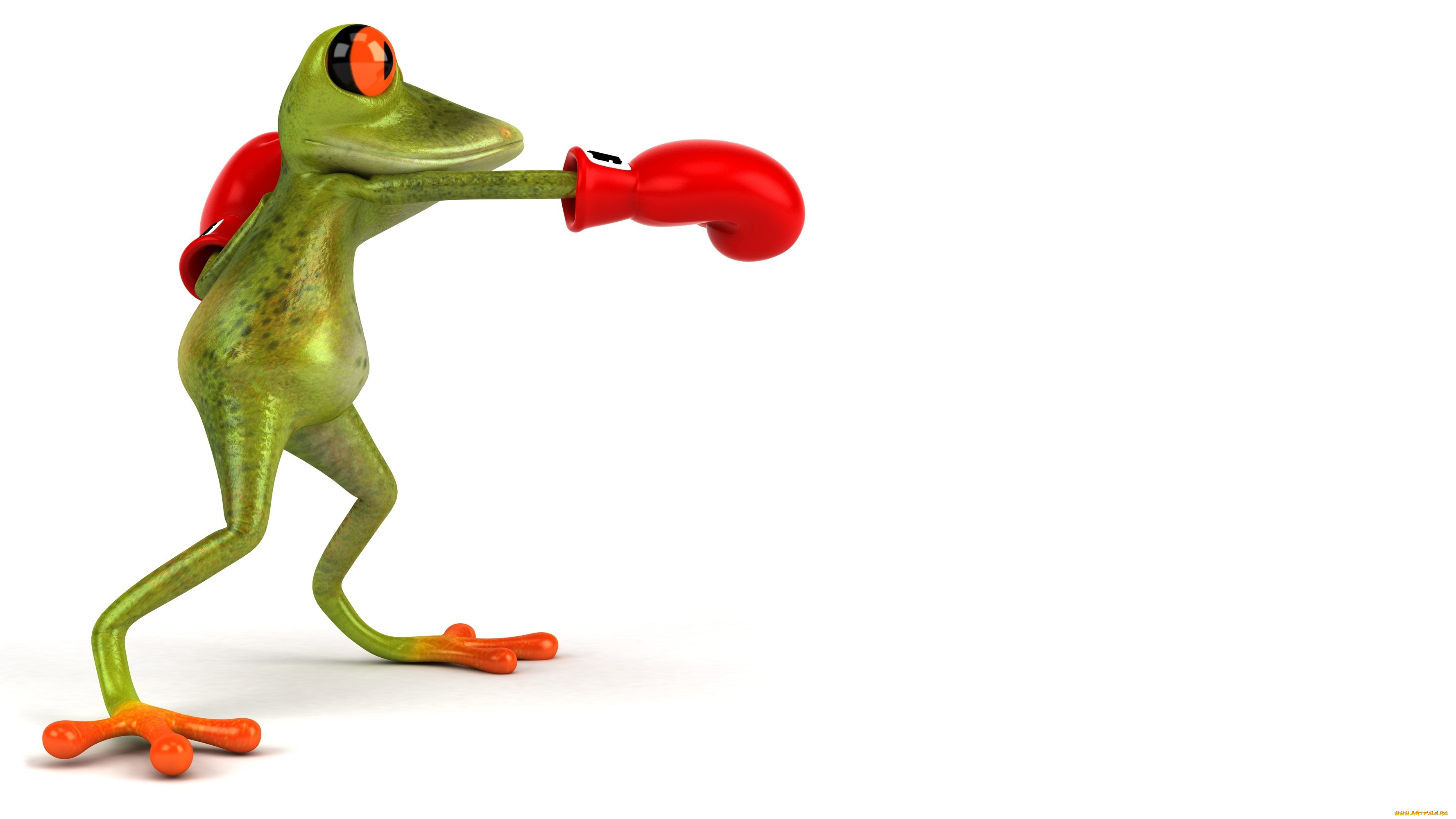 3д, графика, animals, , животные, лягушка, графика, бокс, перчатка