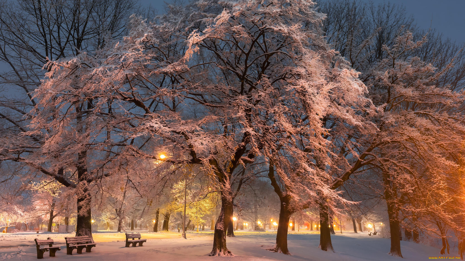 природа, парк, зима, деревья, лавочки, дорога