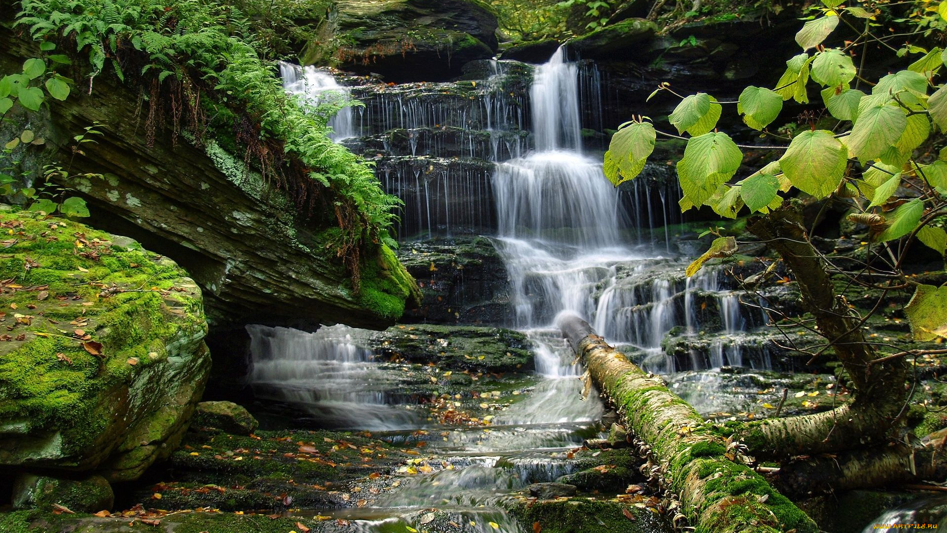 природа, водопады, скала, поток