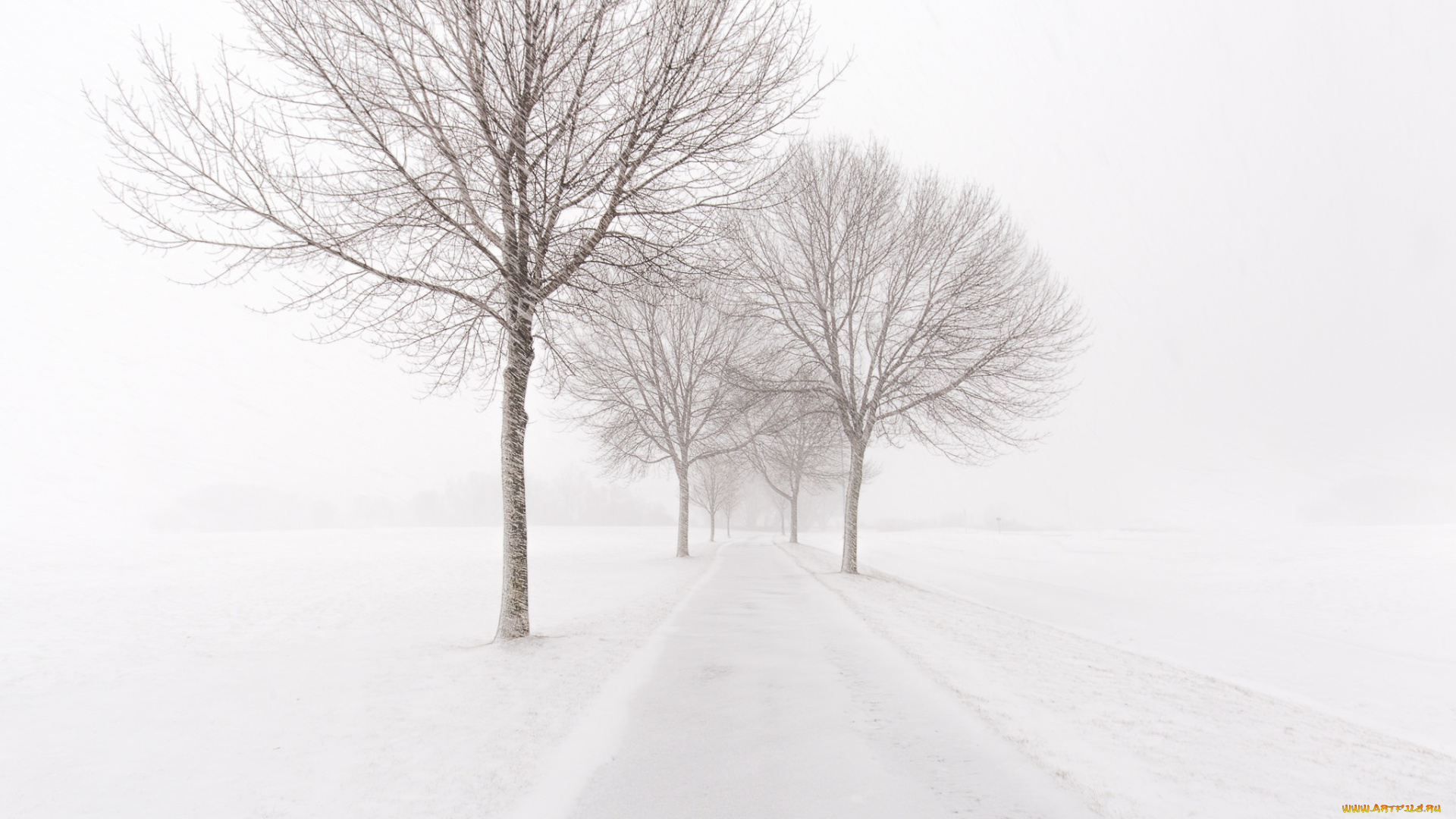 природа, зима, деревья, снег