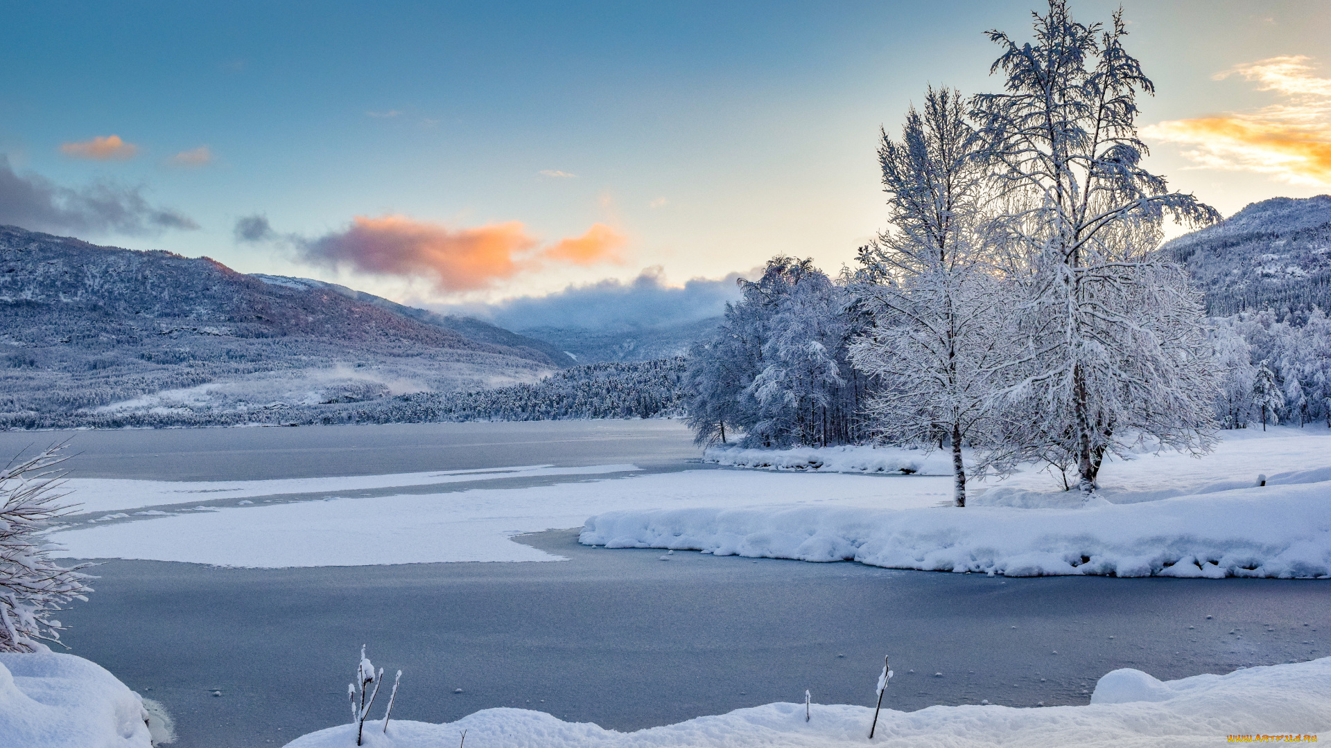 природа, зима, деревья, снег