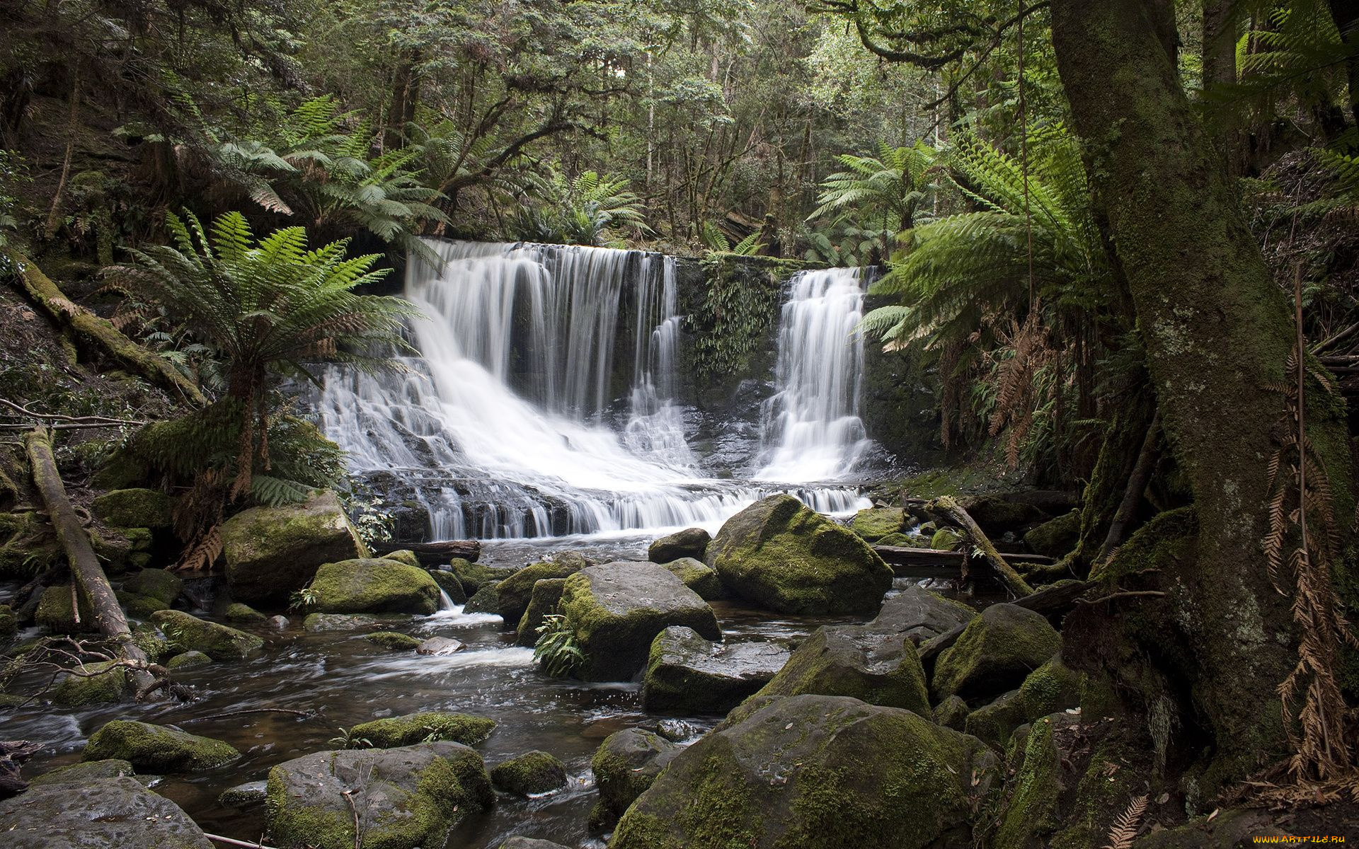 природа, водопады, скала, поток