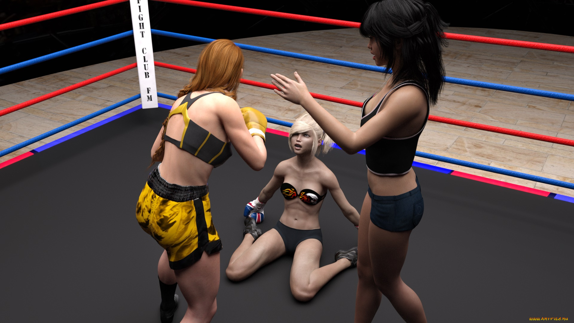 3д, графика, спорт, , sport, бокс, ринг, фон, взгляд, девушки