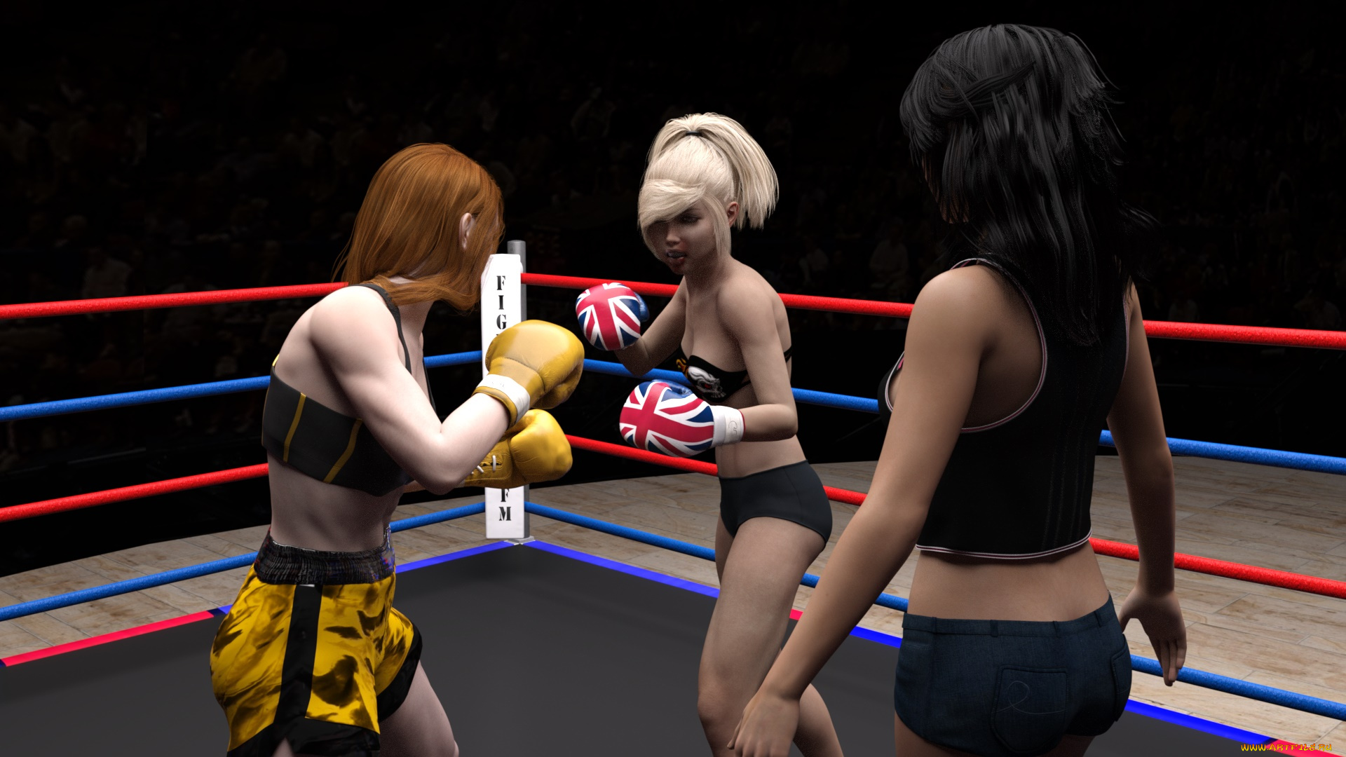 3д, графика, спорт, , sport, ринг, фон, взгляд, бокс, девушки