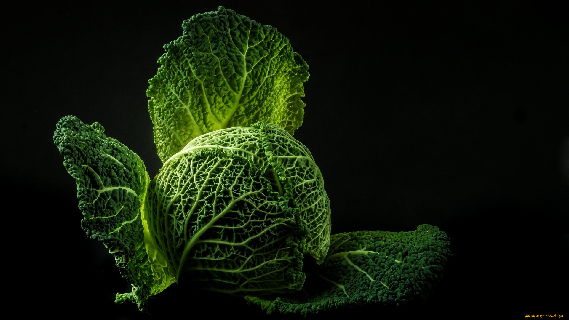 еда, капуста, и, её, разновидности, кочан, капуста, савойская