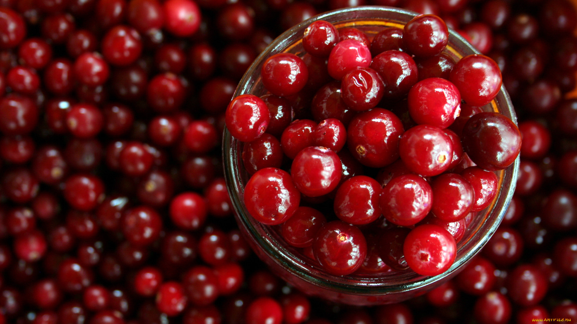 еда, вишня, , черешня, вишни, много, ягоды