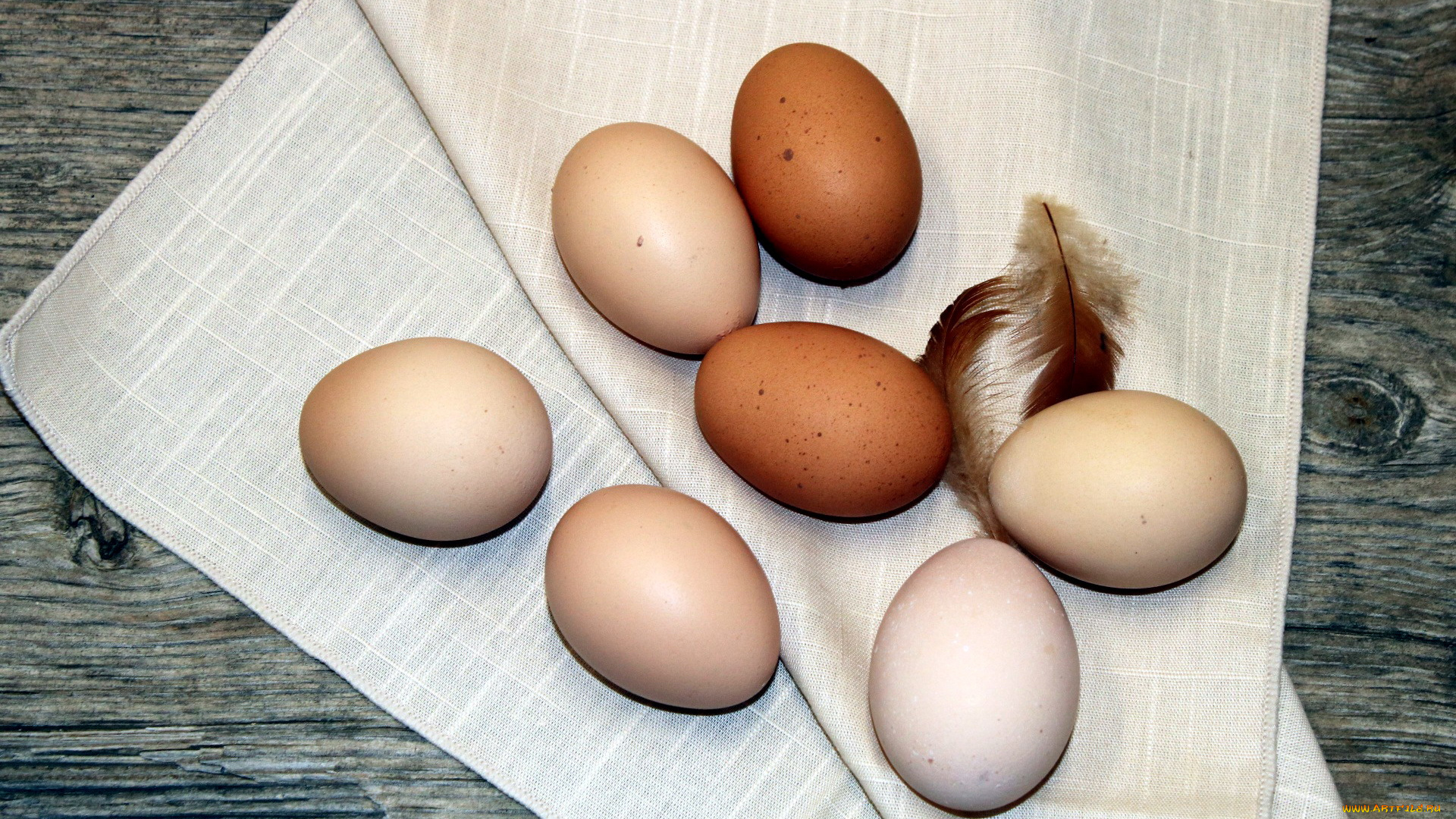 еда, Яйца, яйца, перья