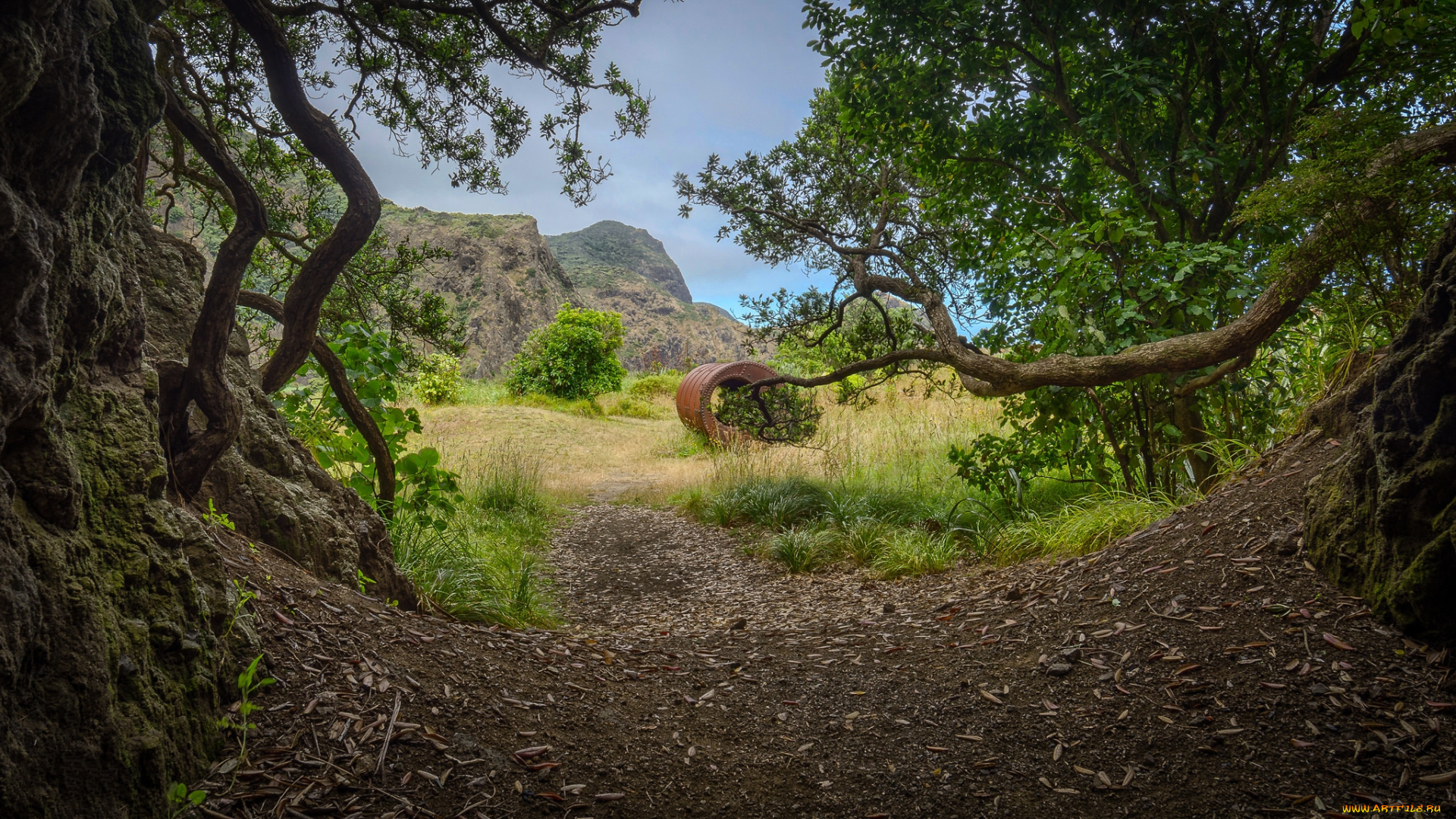 природа, дороги, простор