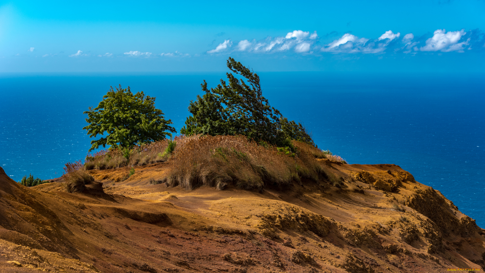 природа, пейзажи, простор