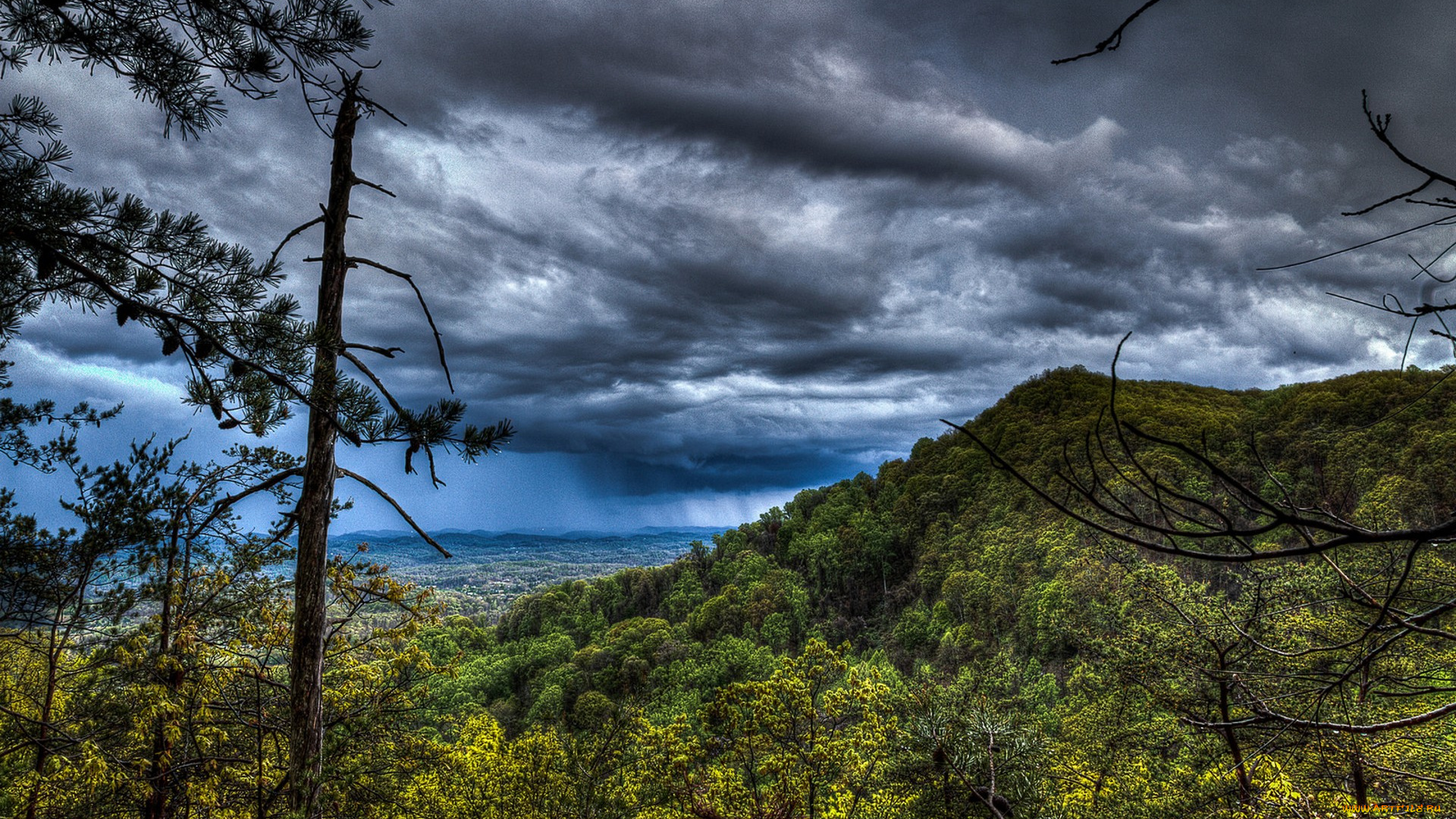 природа, пейзажи, простор