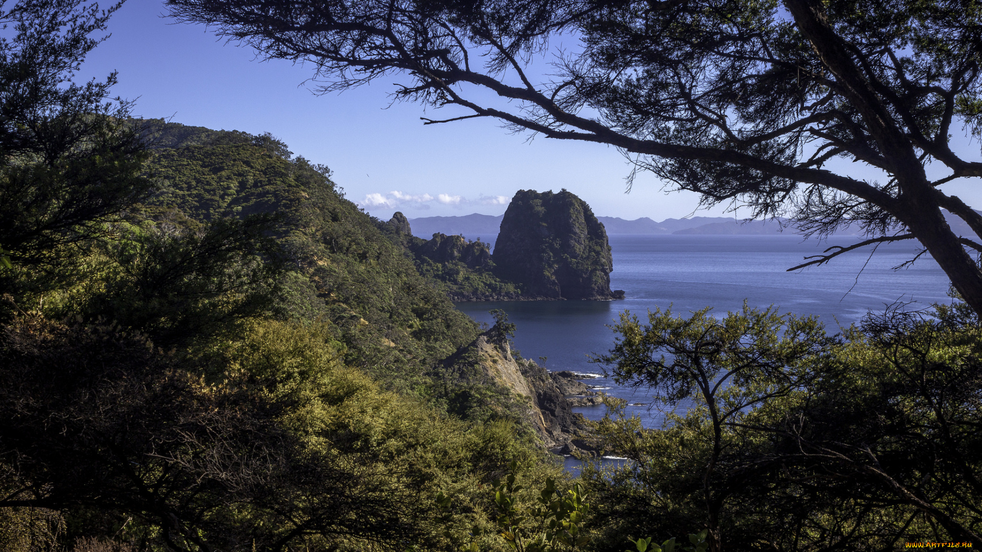 природа, побережье, простор