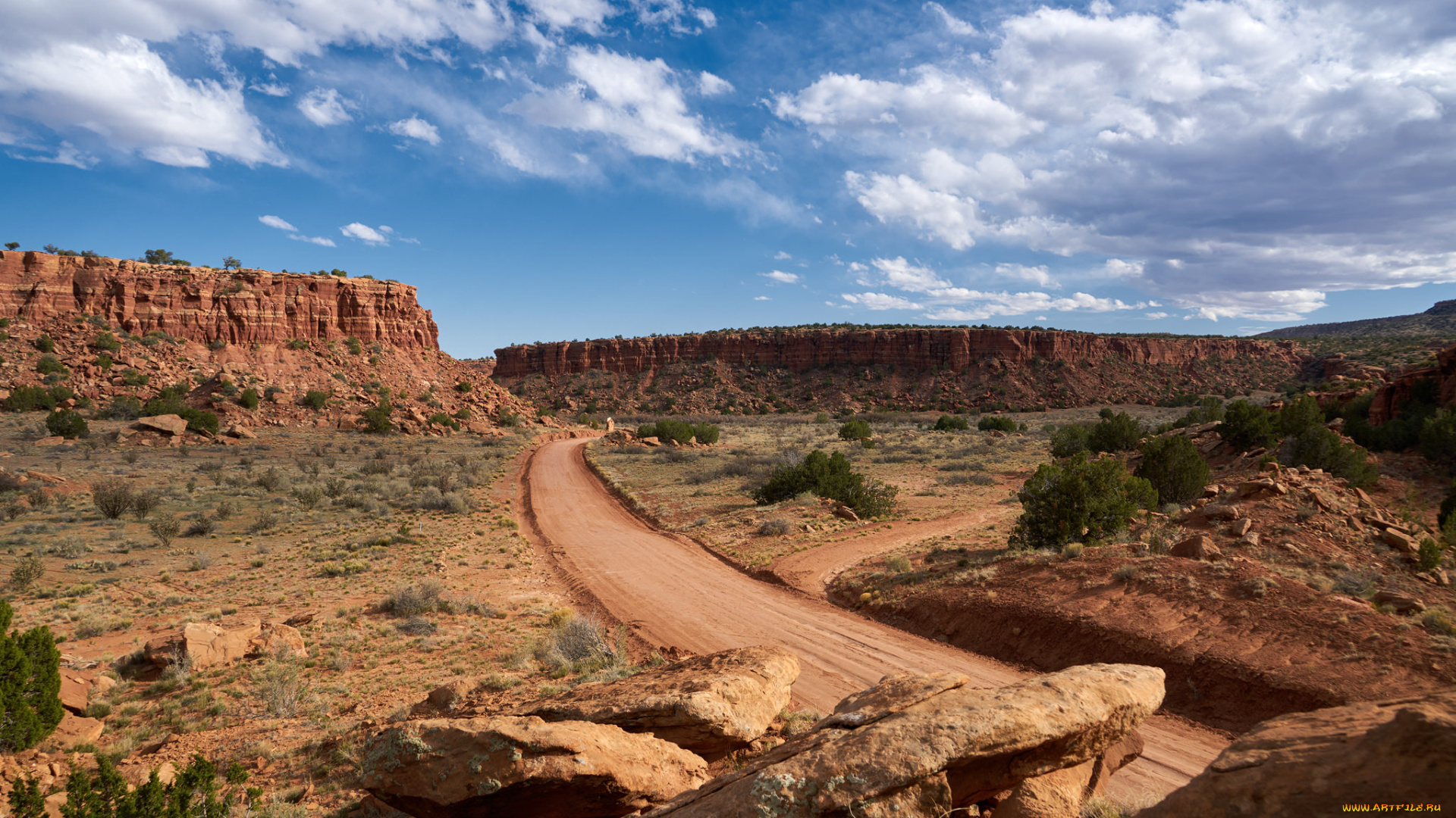 природа, пустыни, простор