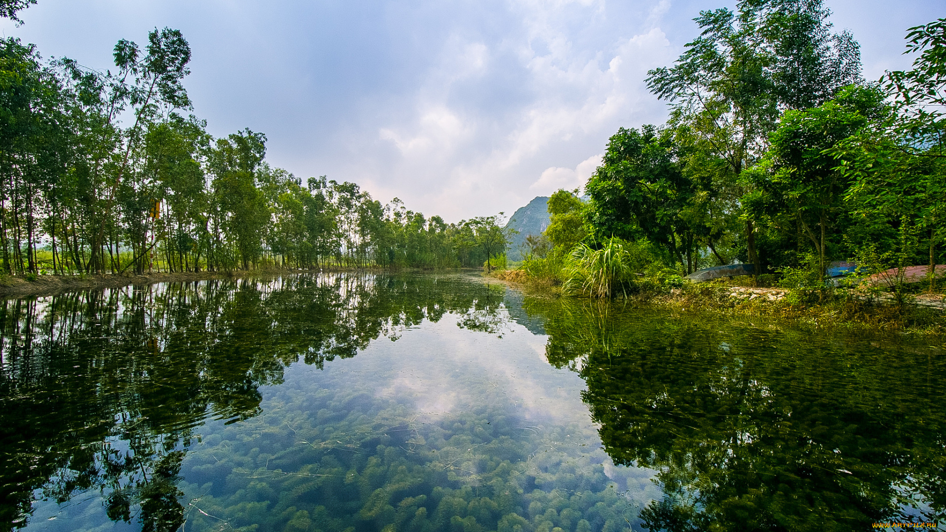 природа, реки, озера, простор