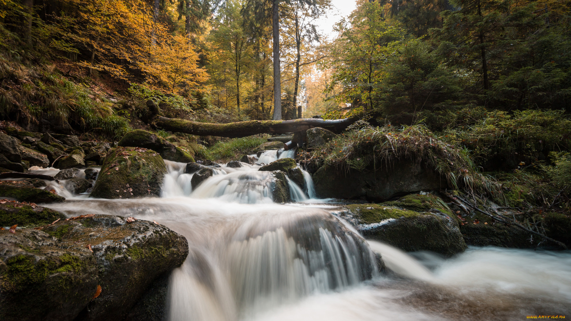 природа, реки, озера, простор