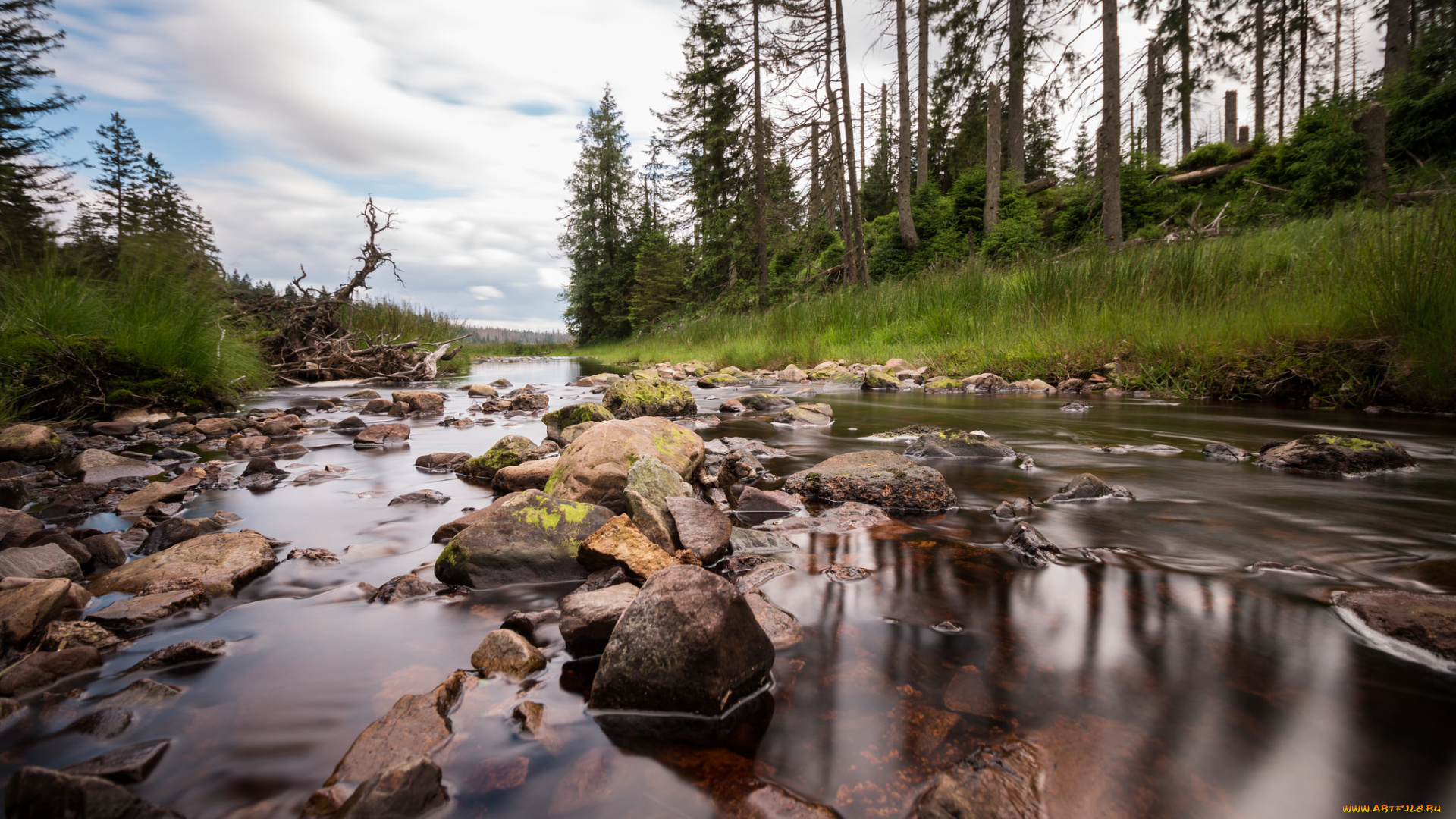 природа, реки, озера, простор