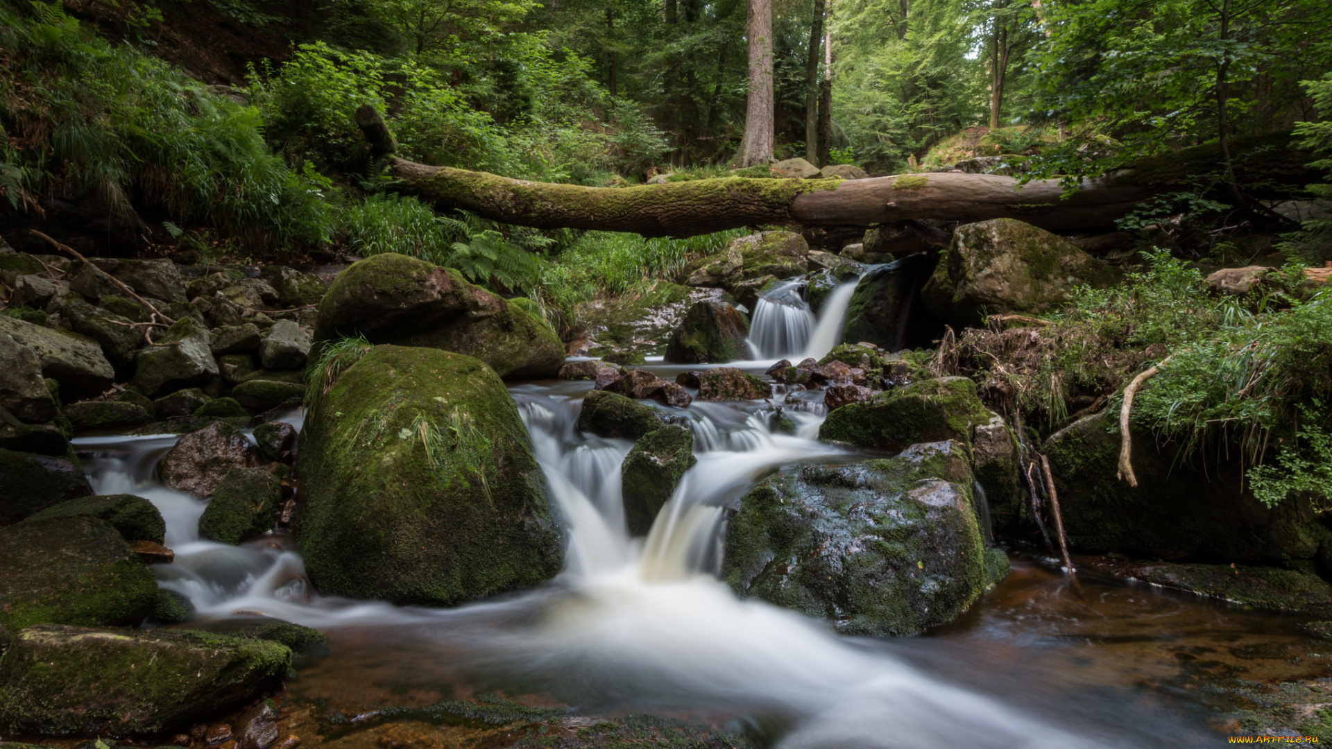 природа, реки, озера, простор