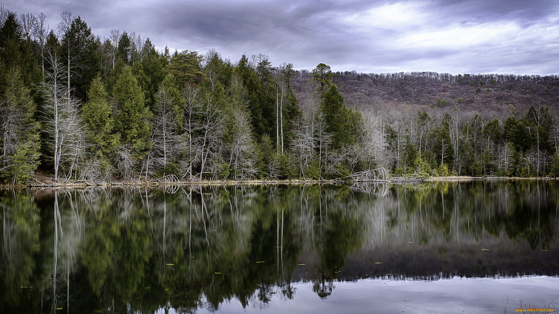 природа, реки, озера, простор