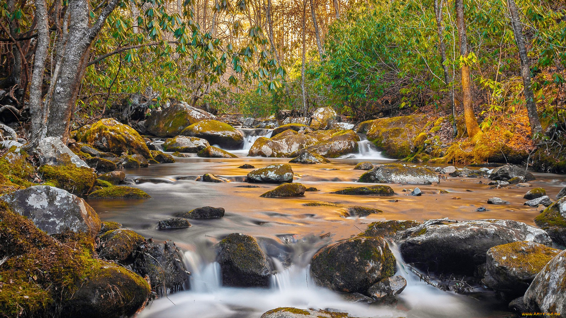 природа, реки, озера, простор