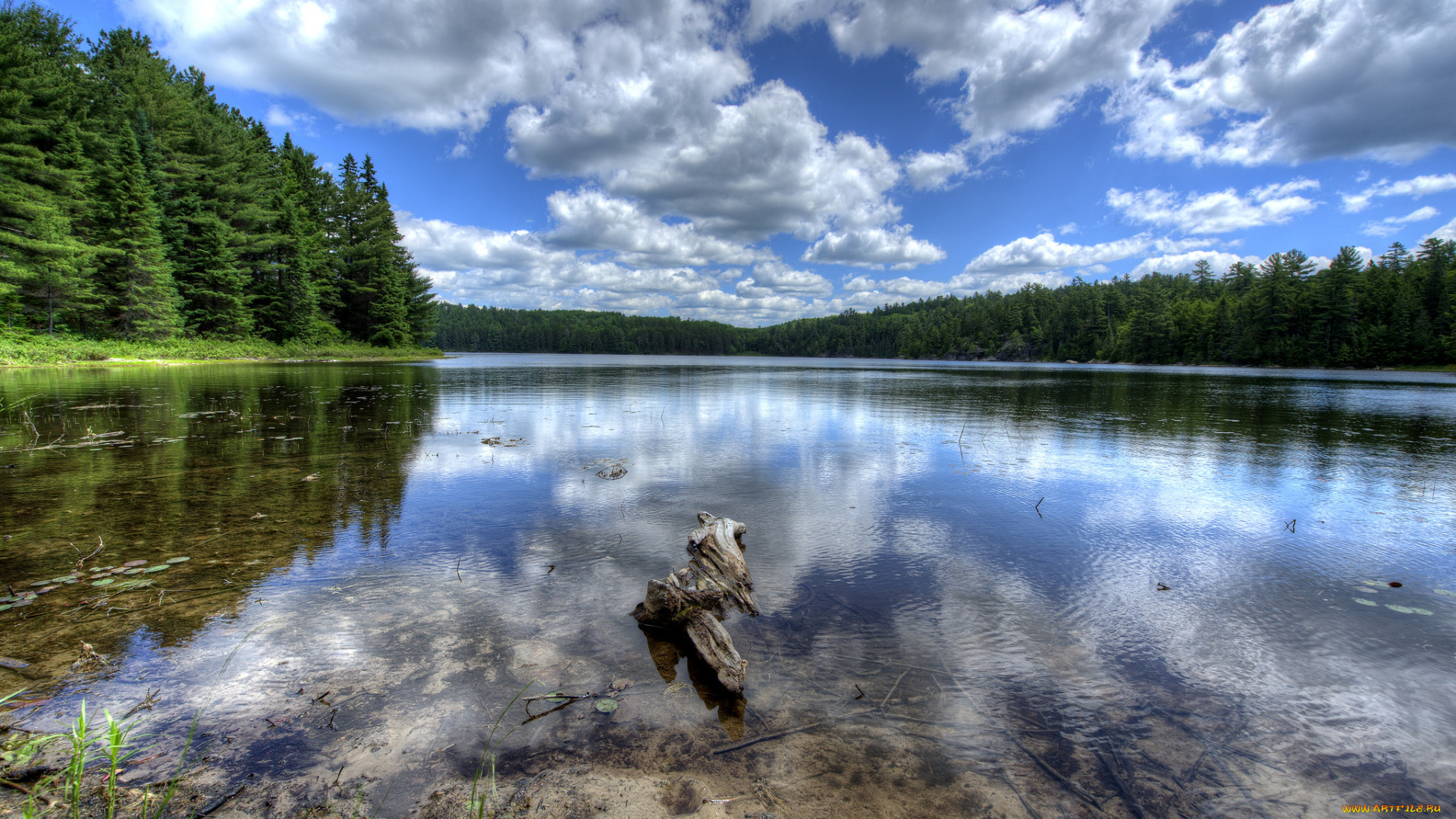 природа, реки, озера, простор