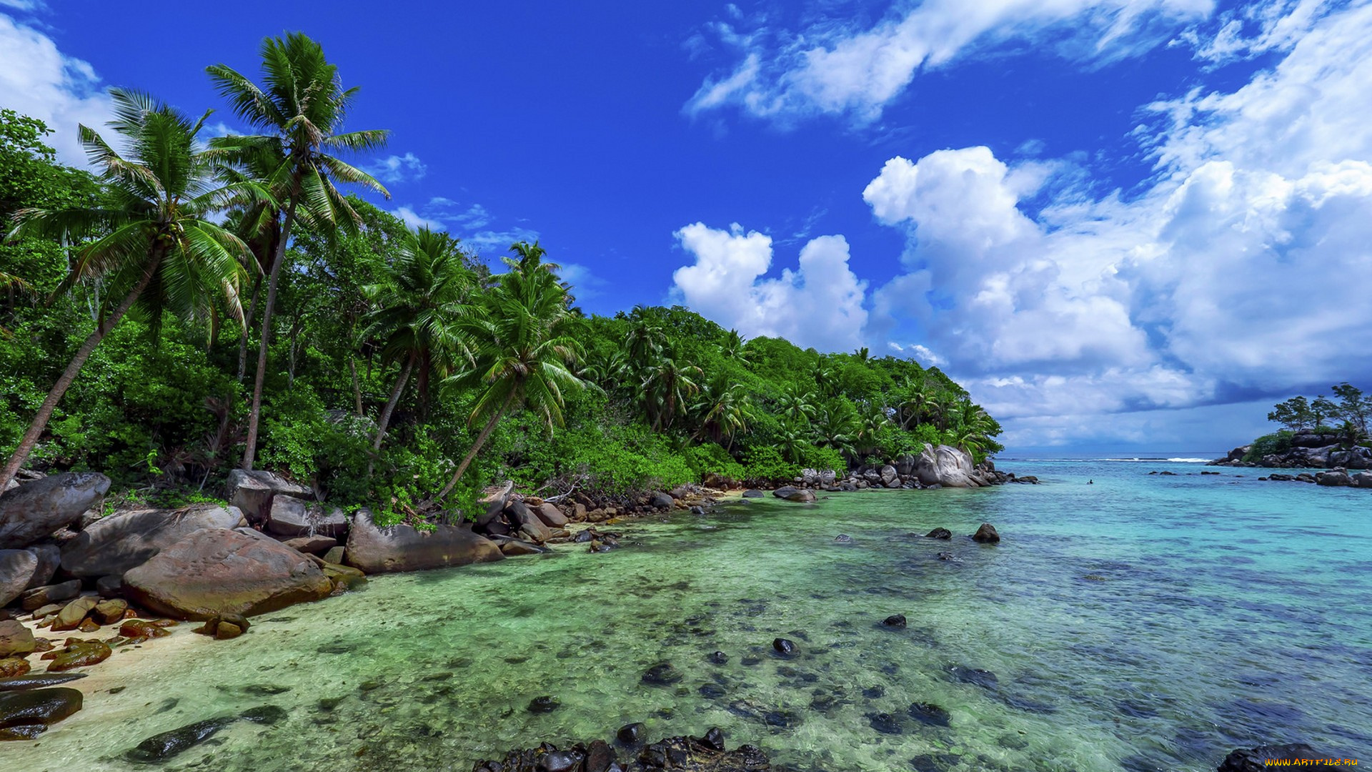 природа, тропики, простор