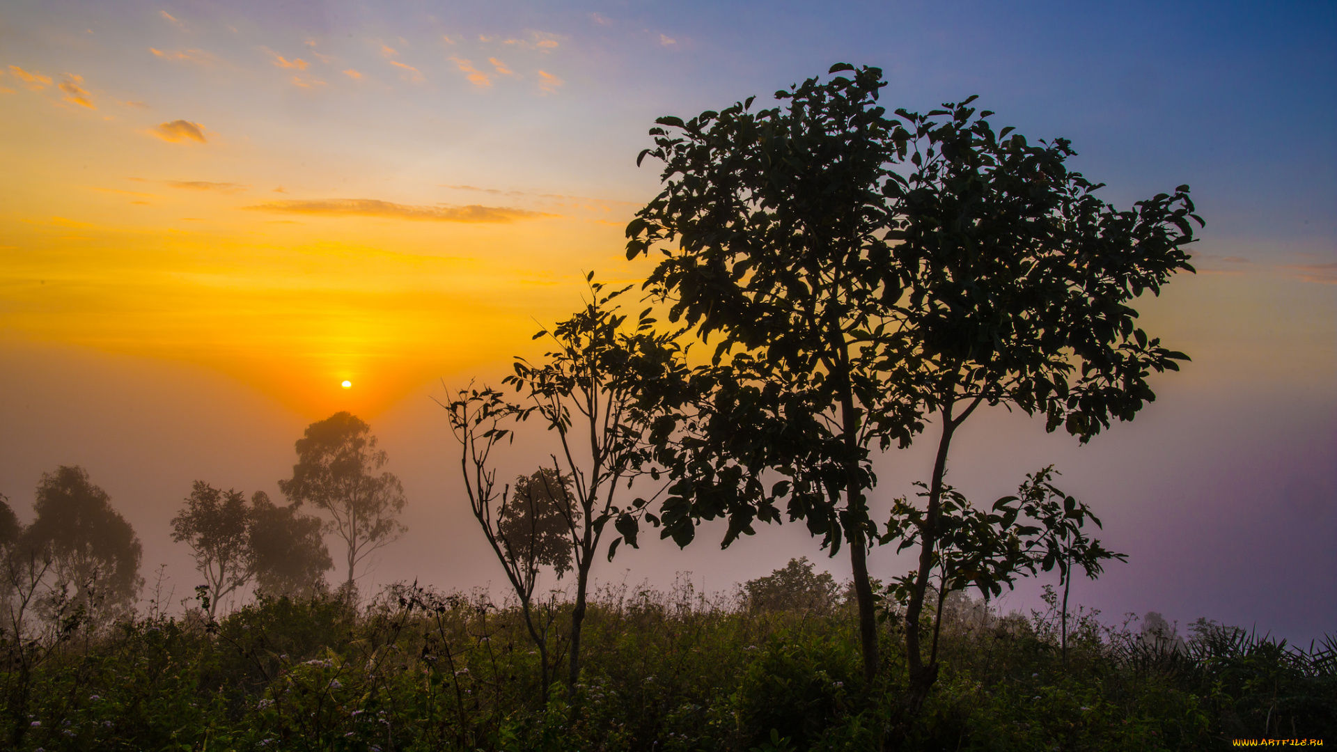 природа, восходы, закаты, простор