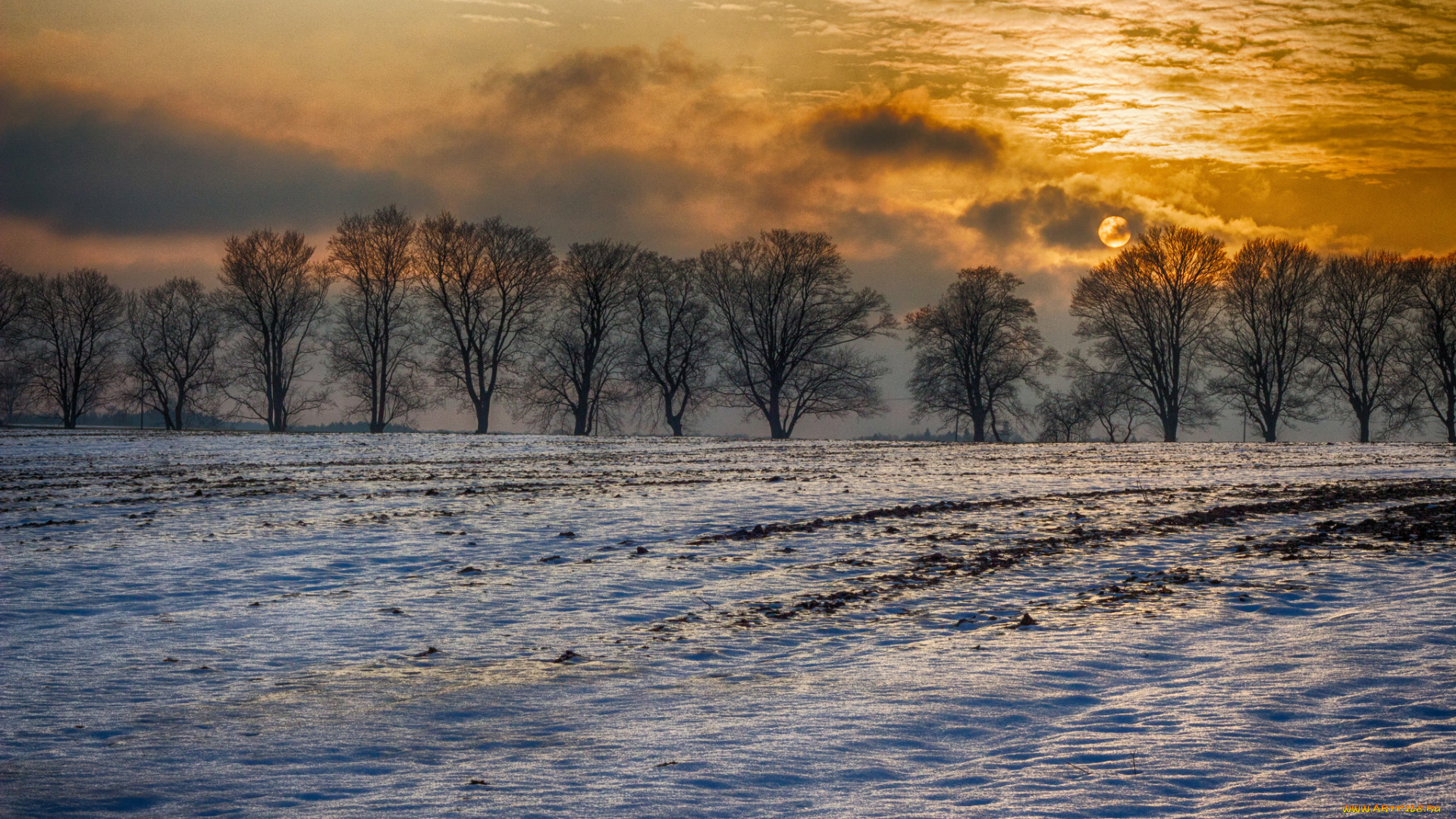 природа, зима, простор