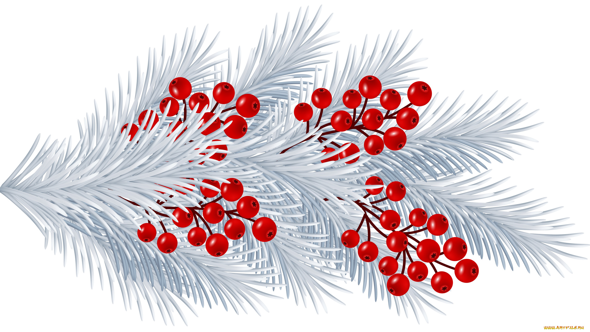 векторная, графика, природа, , nature, ягоды, ветка