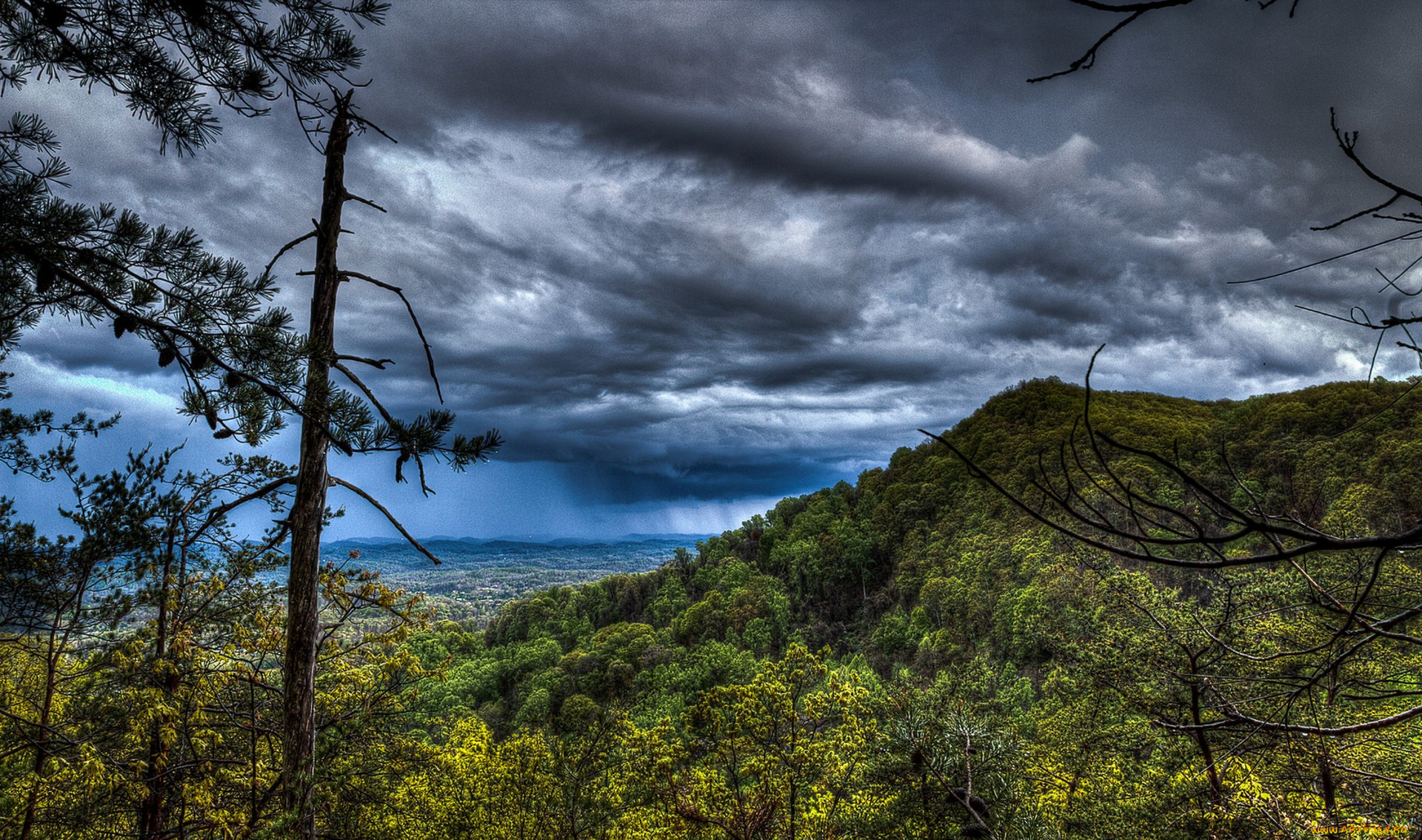 природа, пейзажи, простор