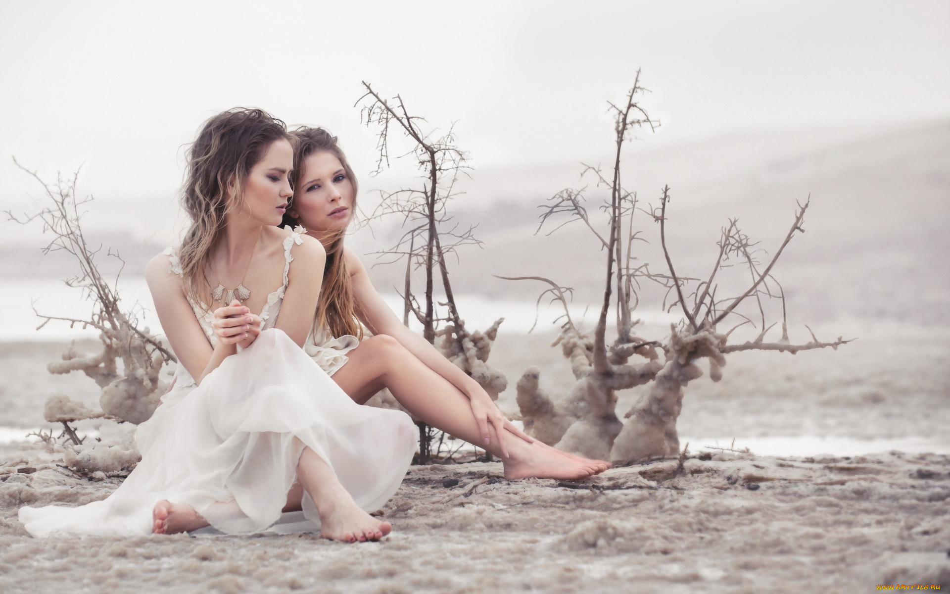 девушки, -unsort, , группа, девушек, кусты, платья, соль