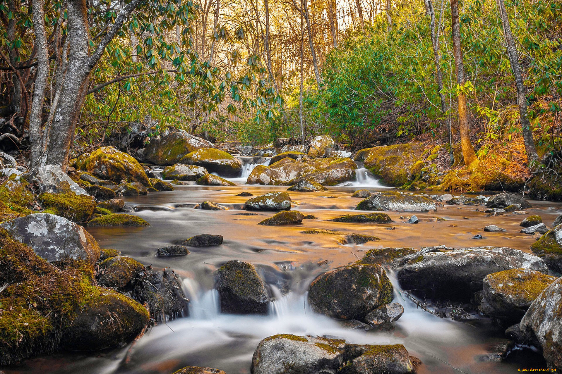 природа, реки, озера, простор