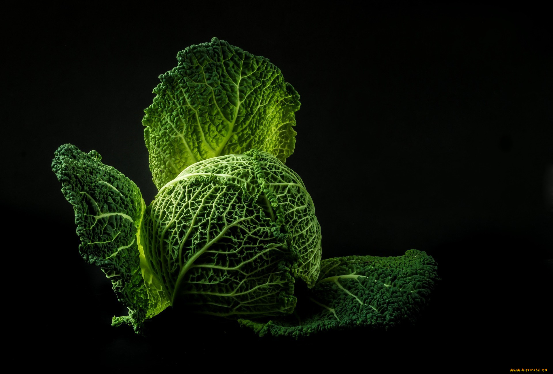 еда, капуста, и, её, разновидности, кочан, капуста, савойская