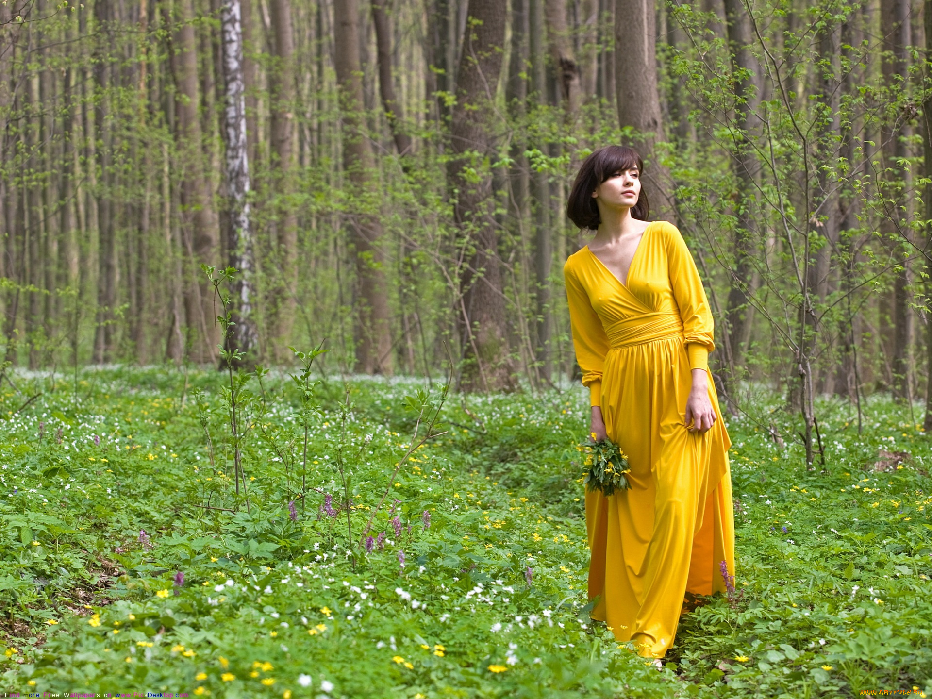 девушки, -unsort, , брюнетки, темноволосые, деревья, цветы, платье, лес, девушка