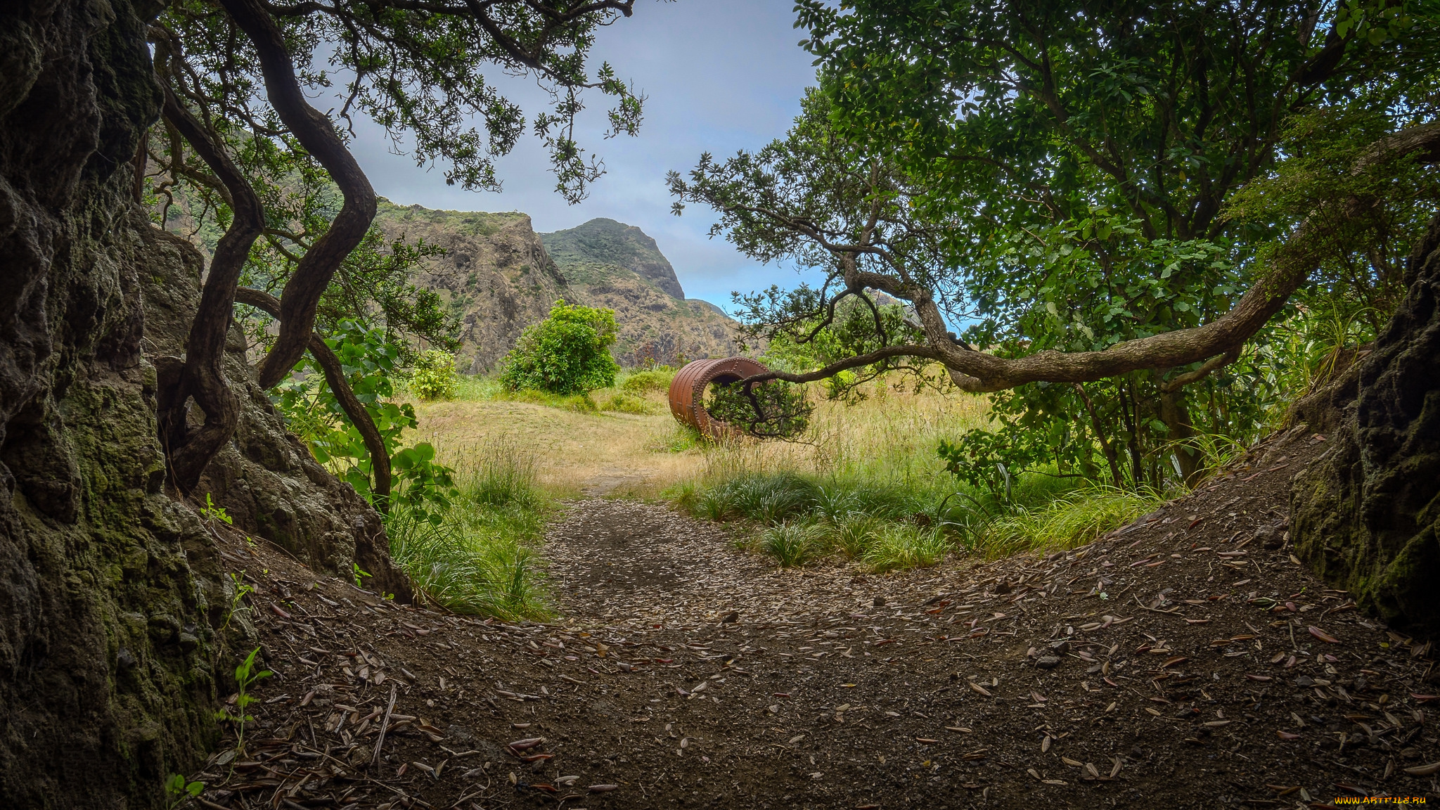 природа, дороги, простор