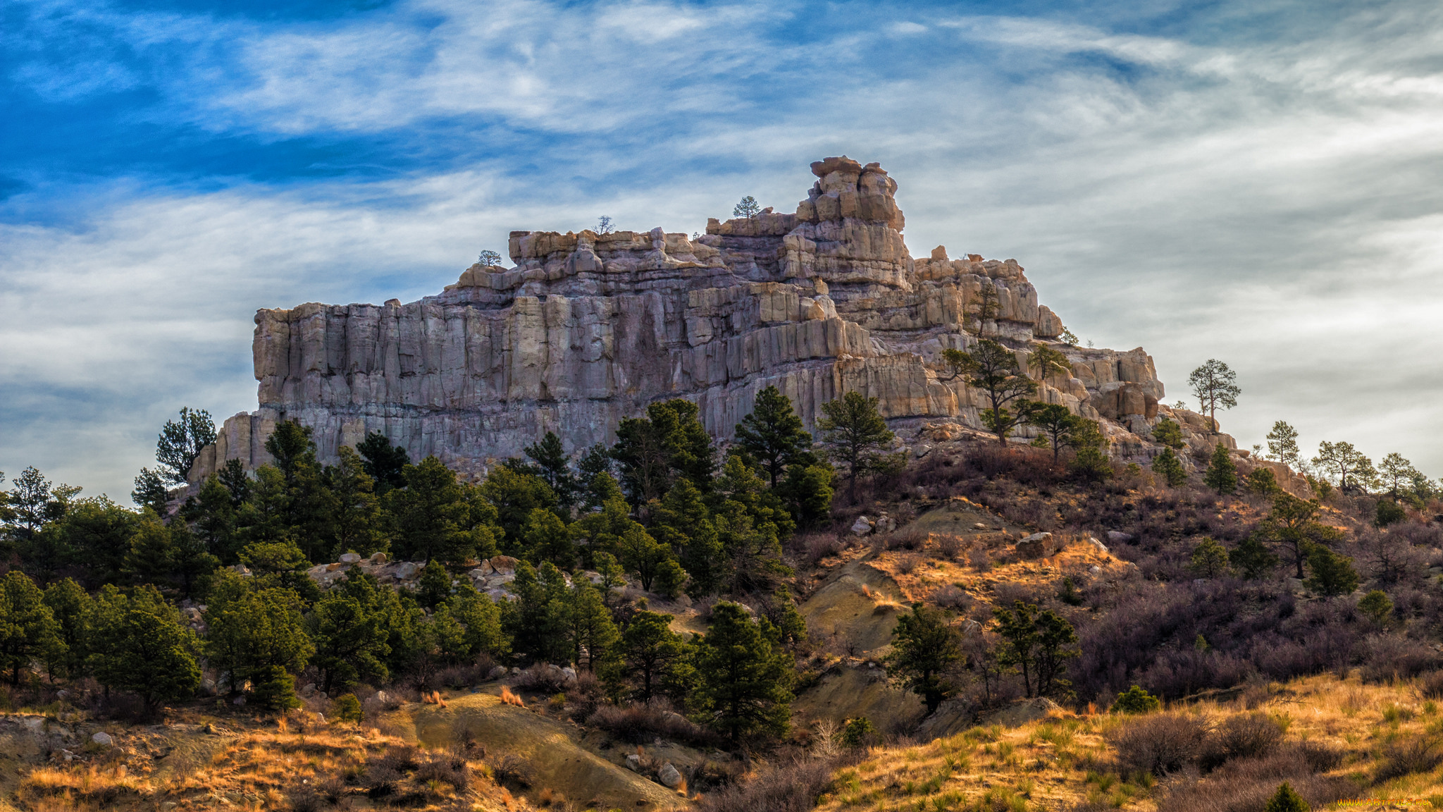 природа, пустыни, простор
