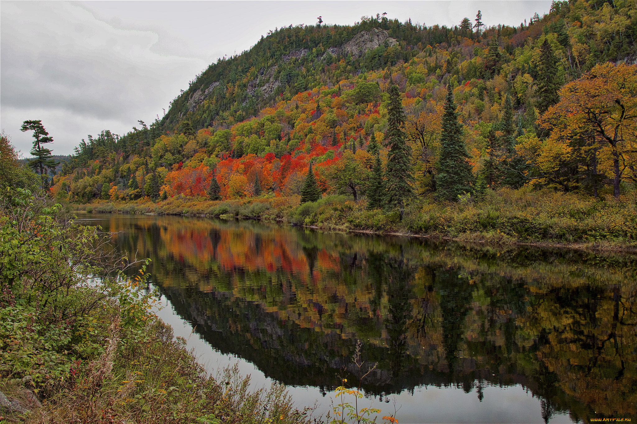 природа, реки, озера, простор