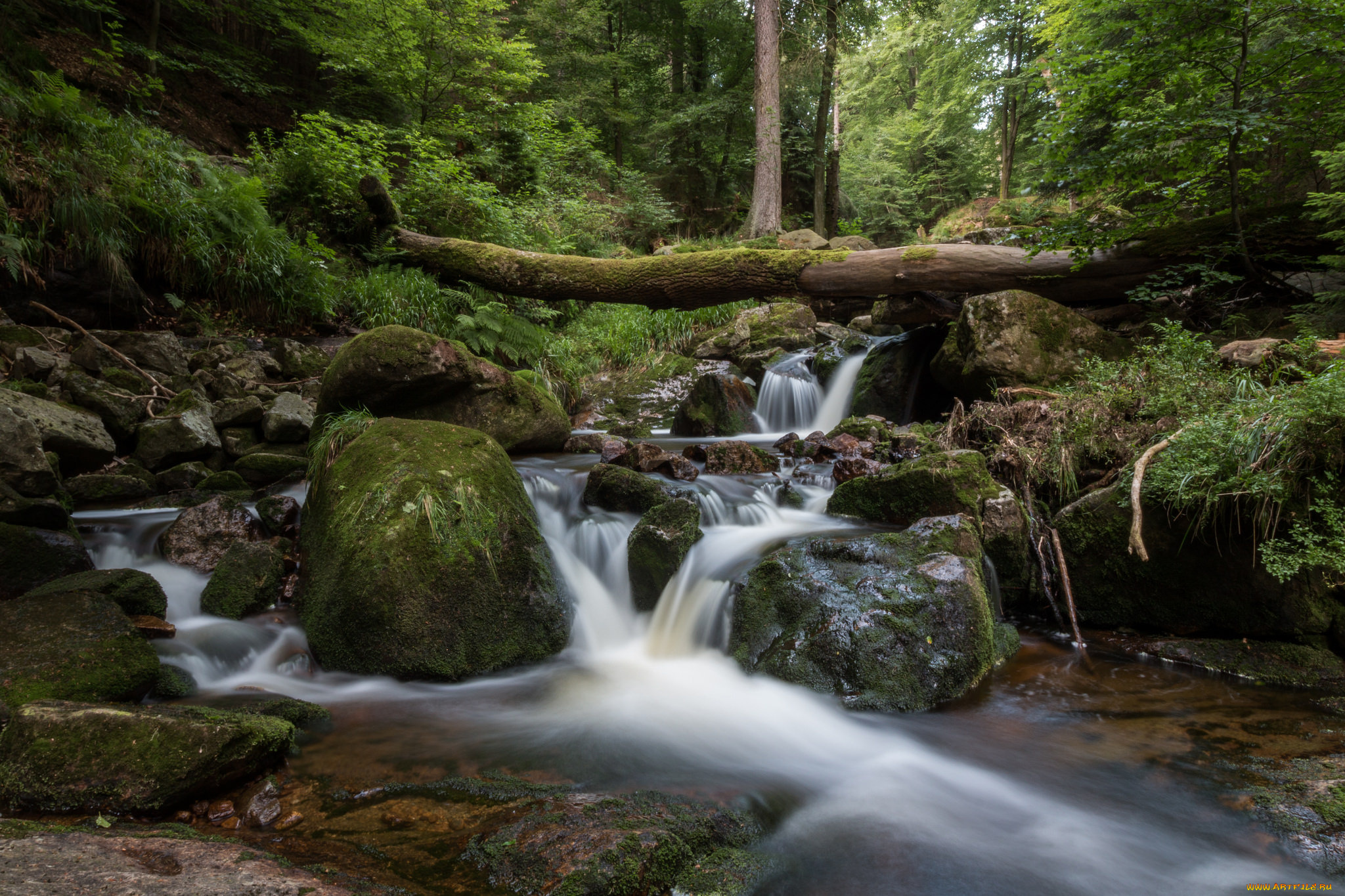 природа, реки, озера, простор