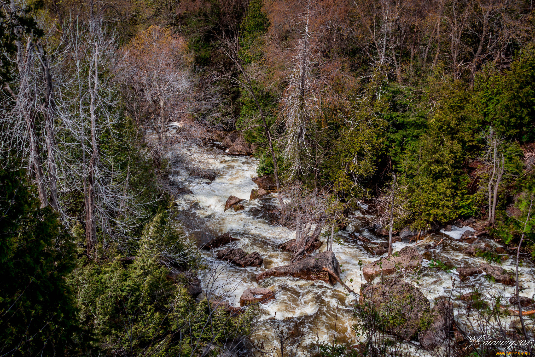 природа, реки, озера, простор