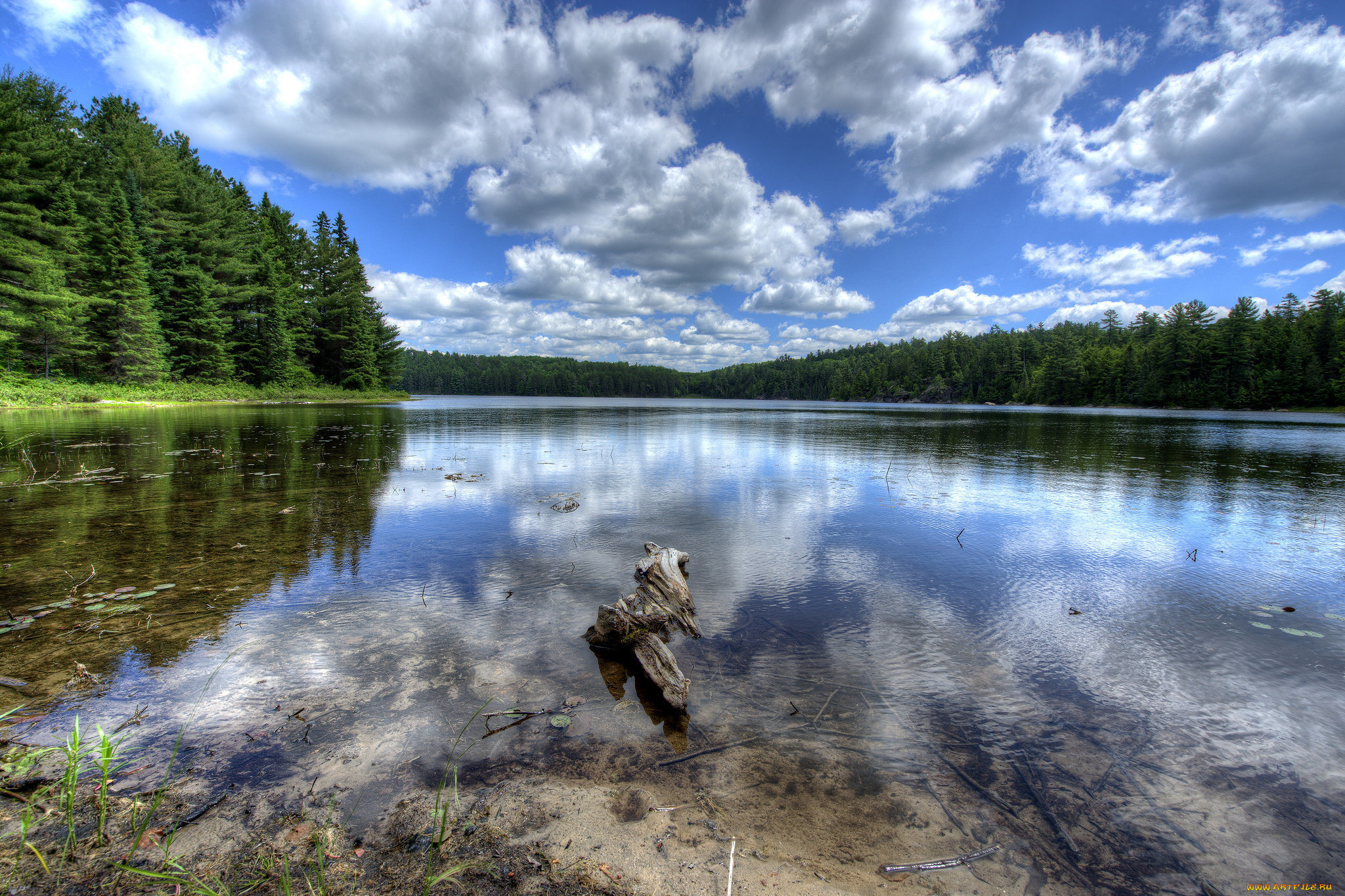 природа, реки, озера, простор