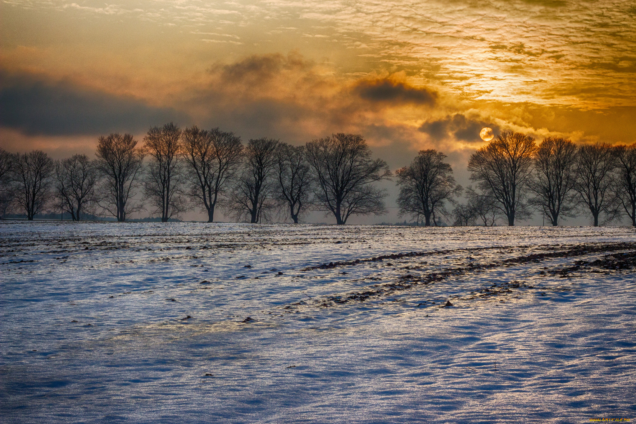 природа, зима, простор