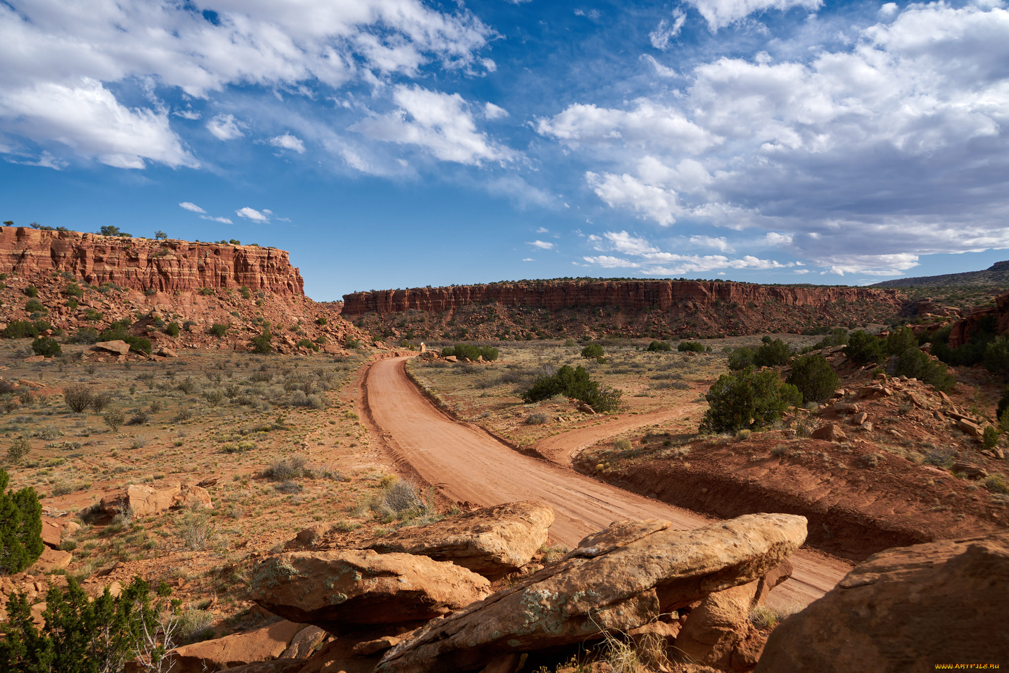 природа, пустыни, простор