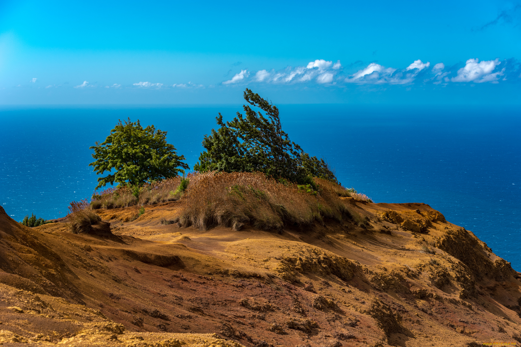 природа, пейзажи, простор