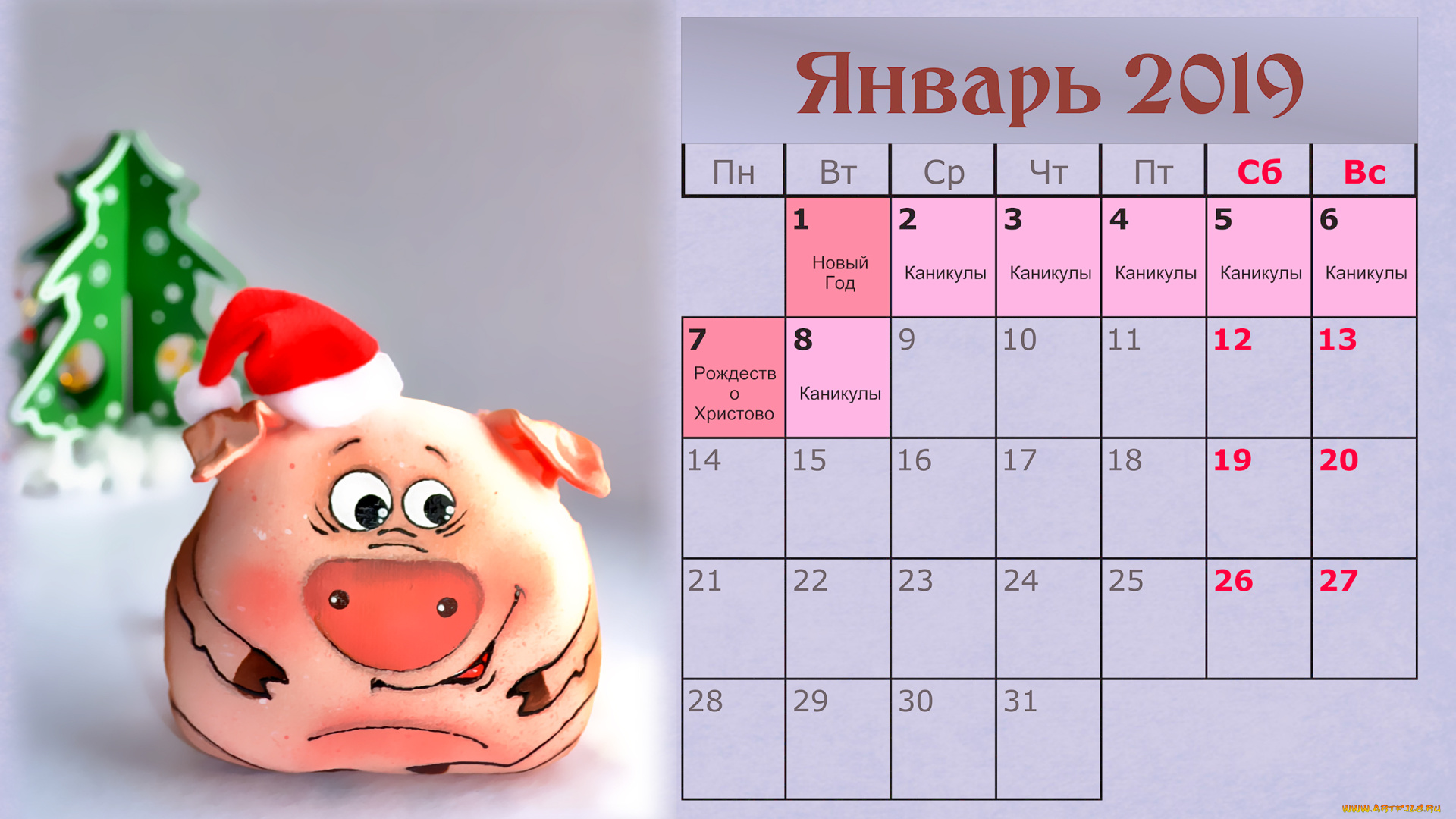 календари, праздники, , салюты, свинья, шапка, поросенок