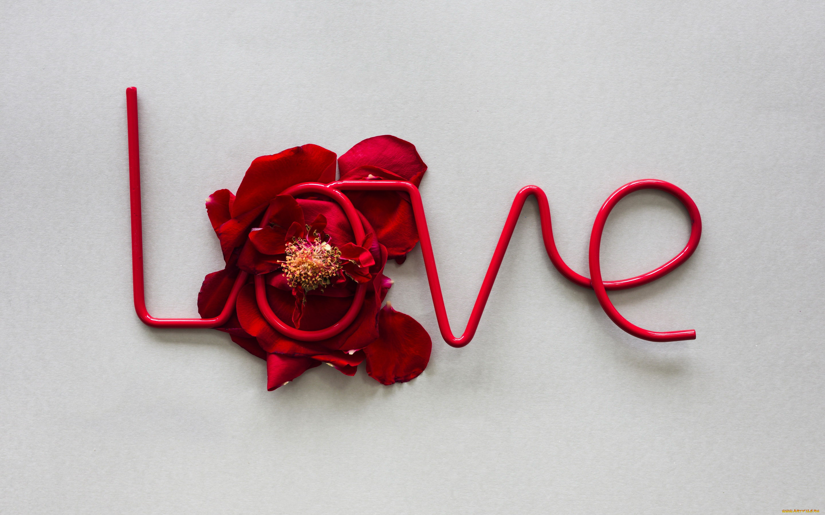 праздничные, день, святого, валентина, , сердечки, , любовь, надпись