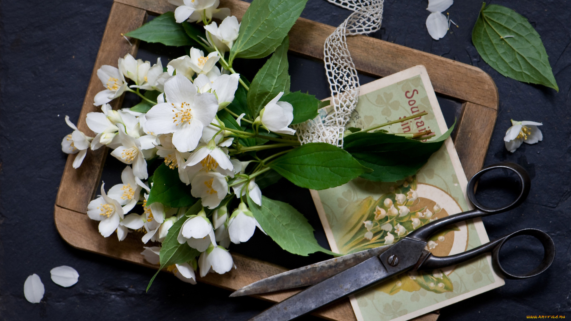 цветы, жасмин, рамка, ножницы, кружево