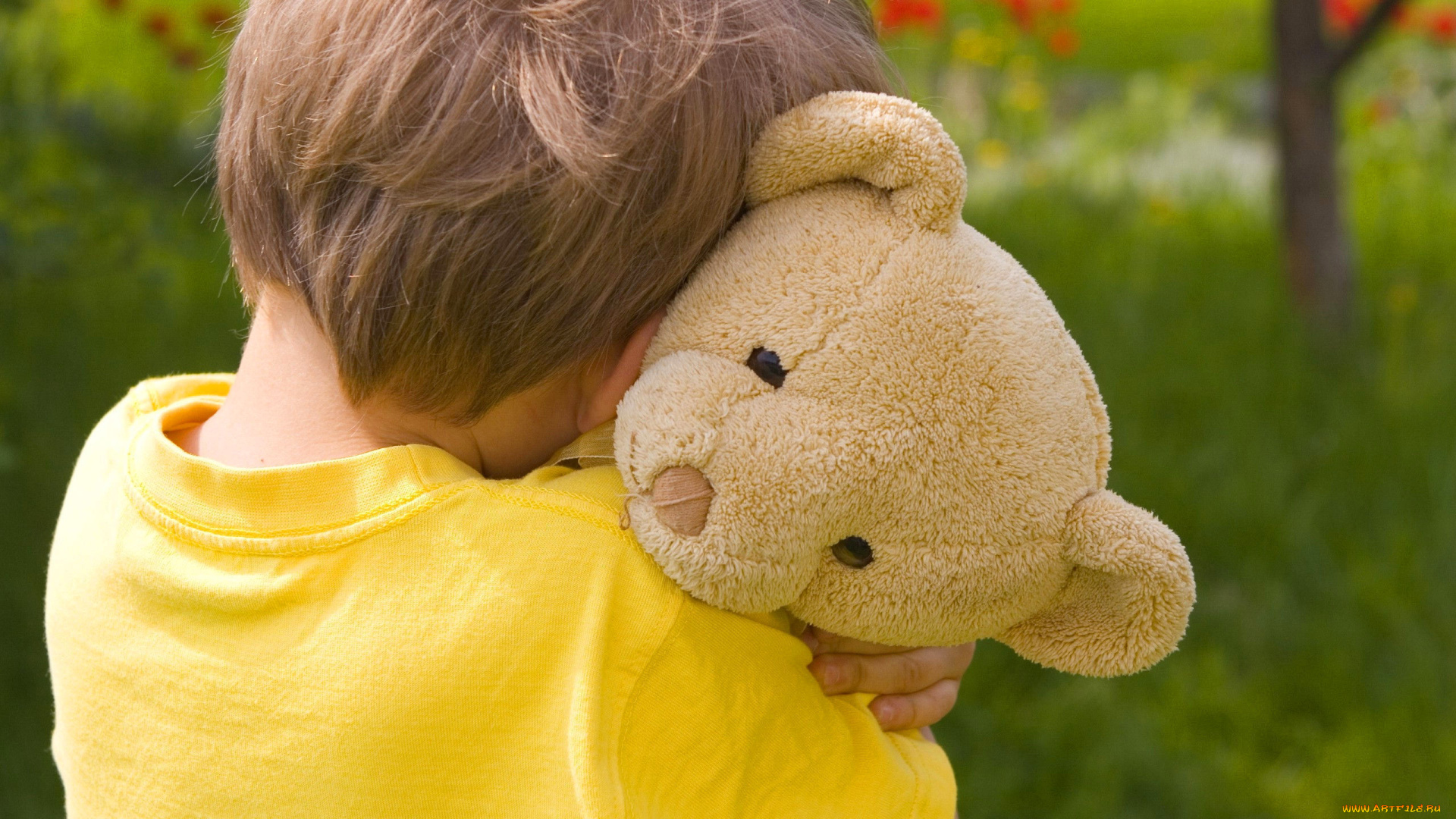 разное, дети, мальчик, мишка