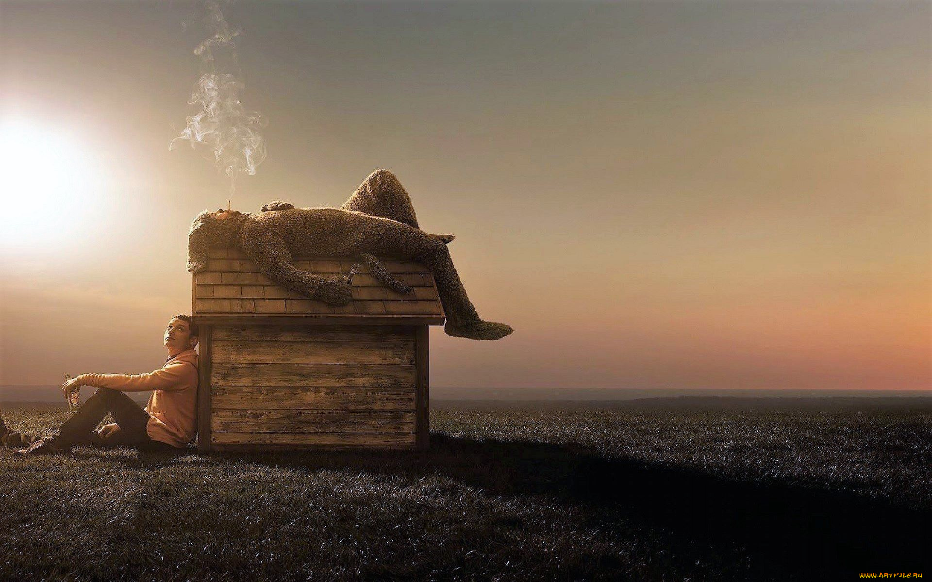 кино, фильмы, wilfred, , сериал, мужчина, конура, собака, костюм, курение