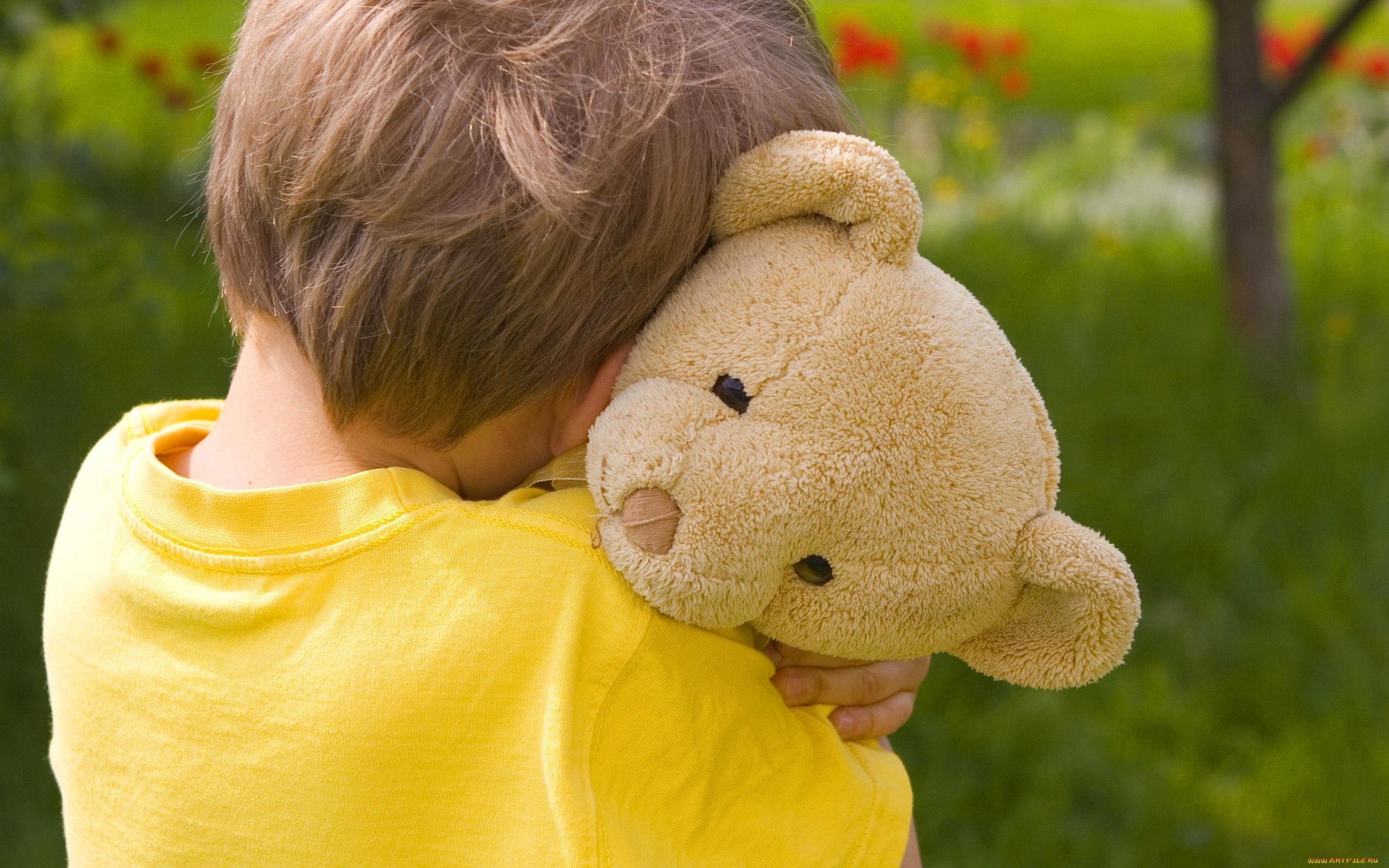 разное, дети, мальчик, мишка