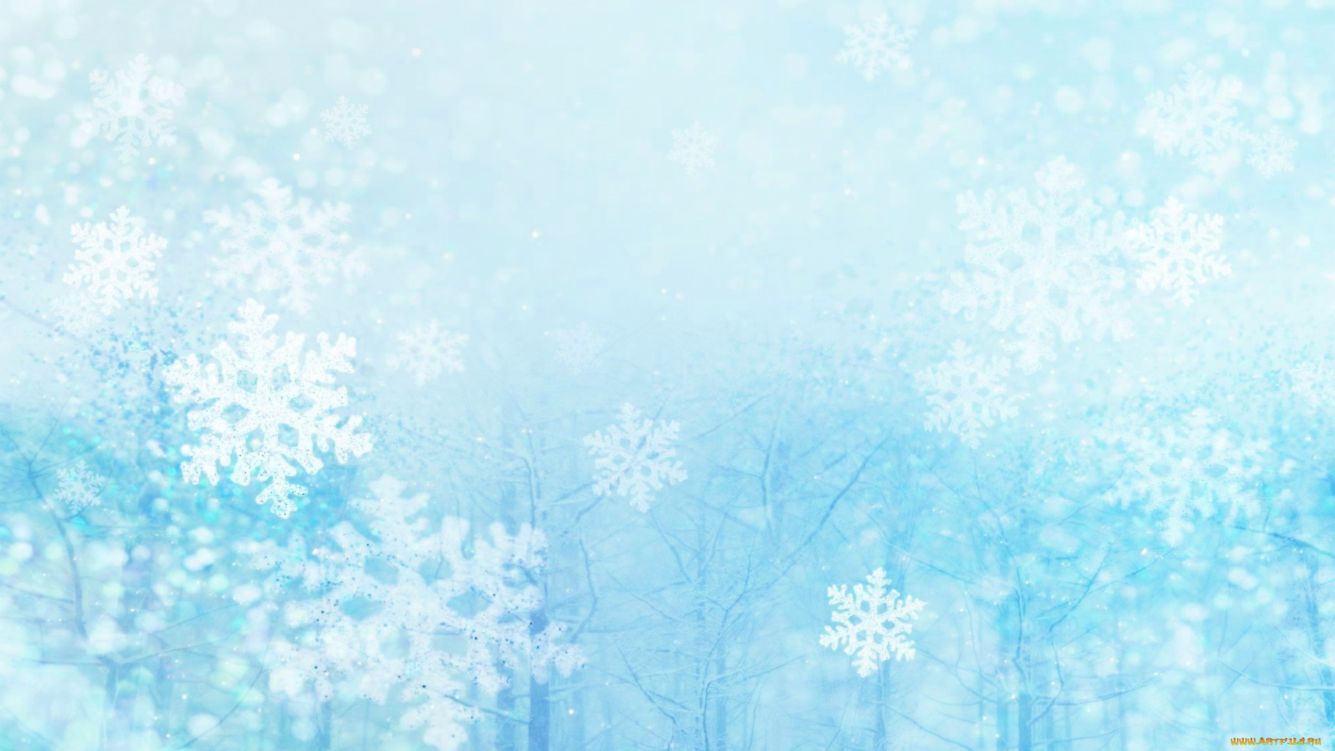 векторная, графика, природа, , nature, снежинки, лес