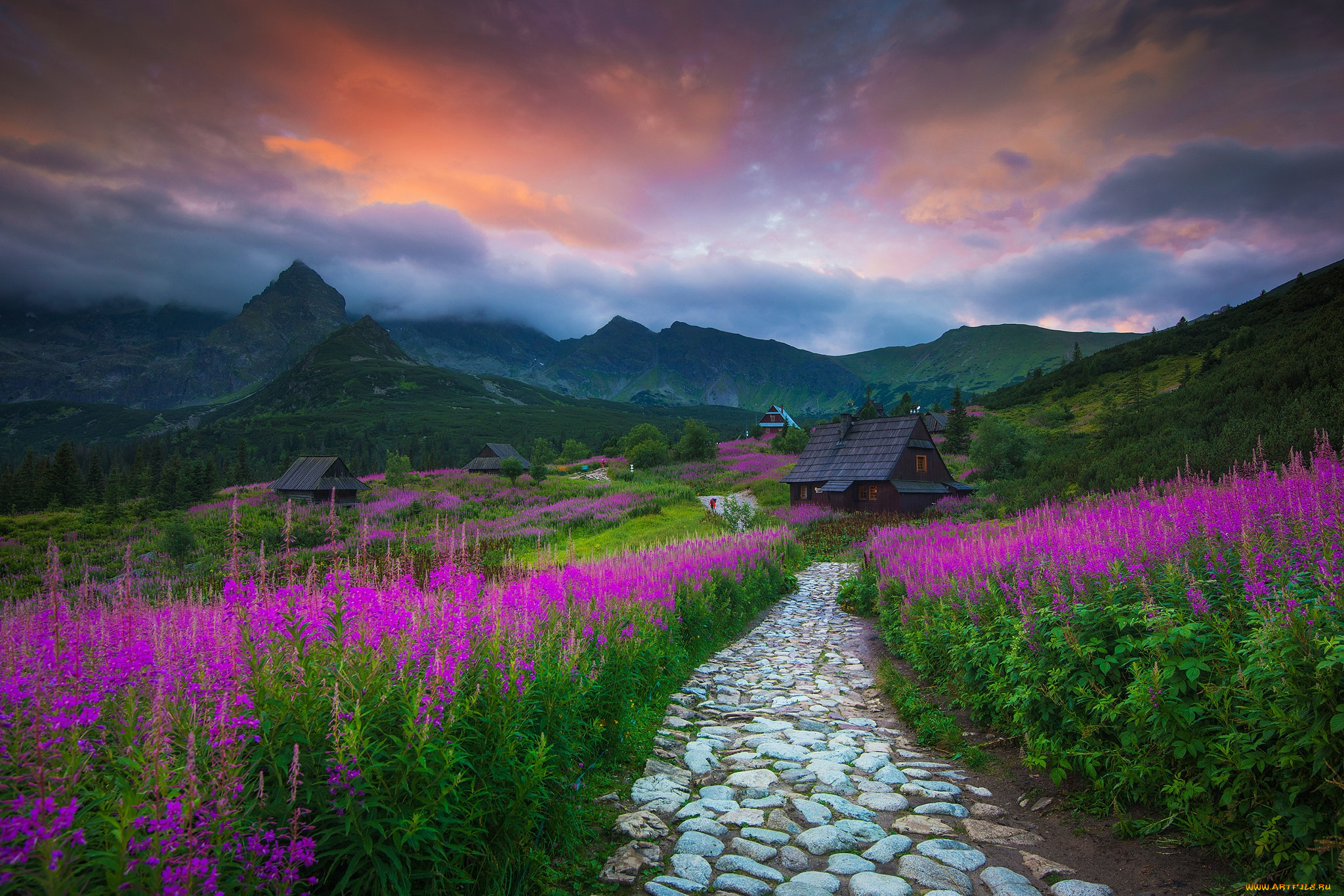 города, -, пейзажи, цветы, горы, польша, домики, тропинка, татры, иван-чай