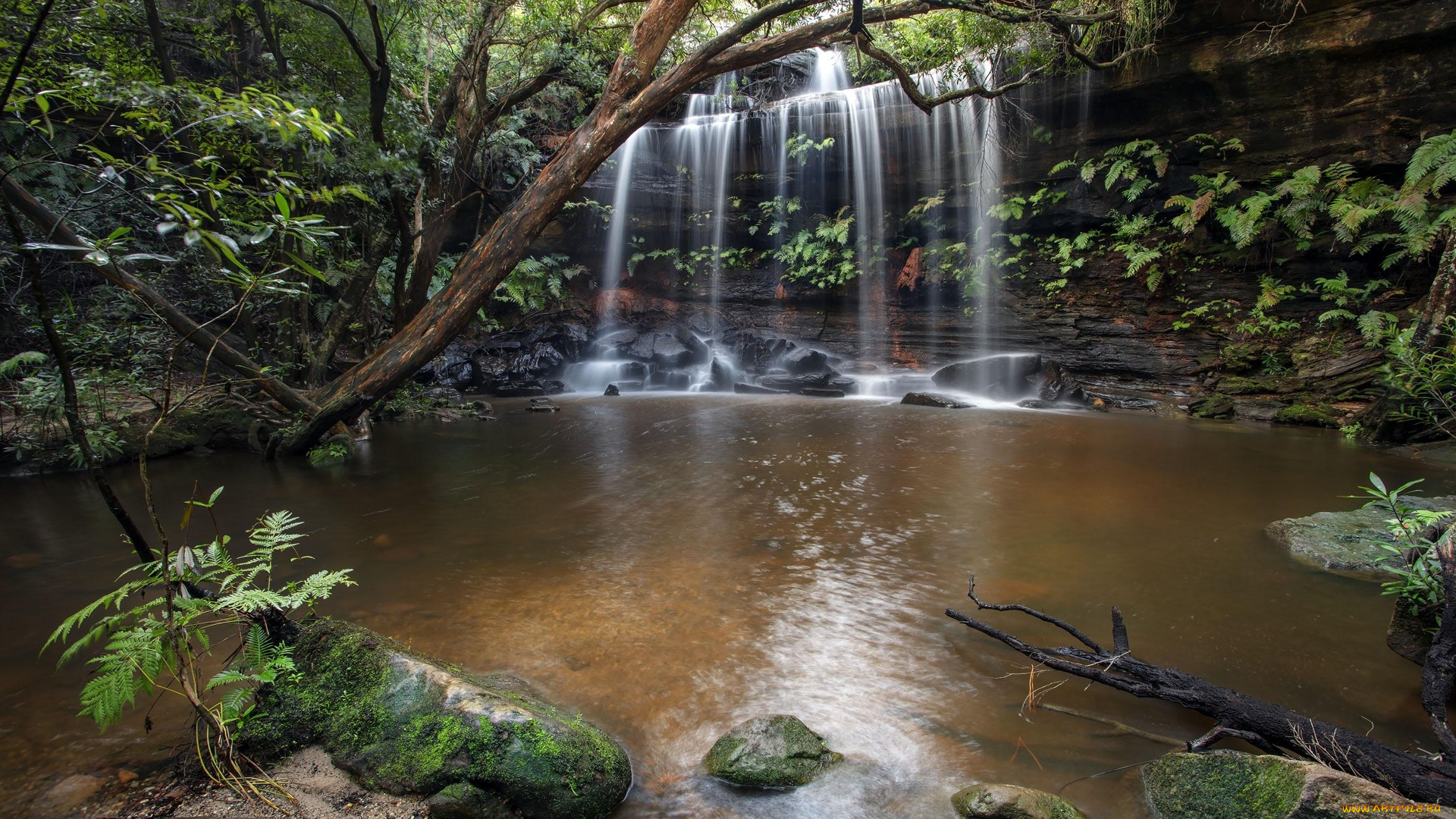 andamira, falls, brisbane, water, national, park, , australia, природа, водопады, andamira, falls, brisbane, water, national, park, australia